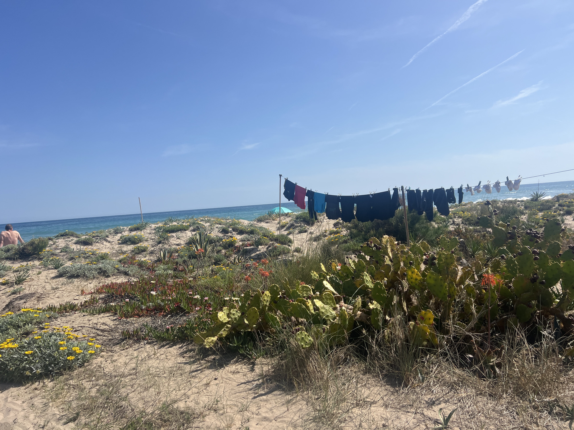 The image depicts a beach scene in La Marina De Creixell, Spain, with a vibrant landscape and elements of daily life. The foreground features sandy terrain interspersed with diverse vegetation, including cacti, succulents, and wildflowers. A clothesline strung between two poles is laden with various articles of clothing, primarily dark-colored shorts, with a few garments in red and blue. A person without a shirt is visible on the left, near the shore, suggesting a relaxed beach atmosphere. The sea stretches across the middle ground, meeting a clear blue sky with contrails from aircraft. The overall setting suggests a sunny day at the beach.