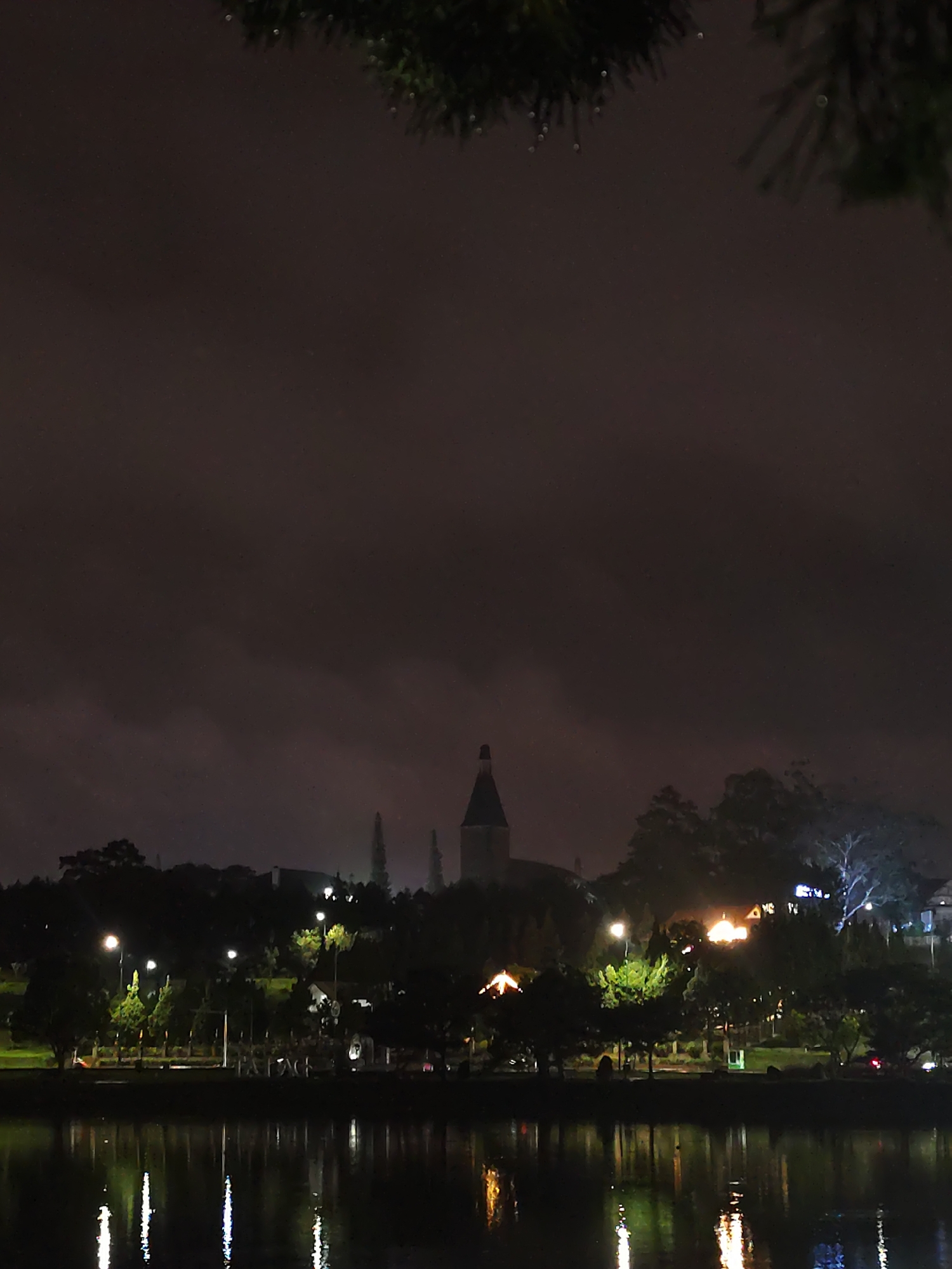 A night scene in Da Lat, Vietnam, shows a body of water reflecting city lights. A silhouetted cityscape sits along the water's edge, with a prominent tower visible in the center. Trees and vegetation line the bank. The sky is overcast. Tree branches are silhouetted in the foreground.