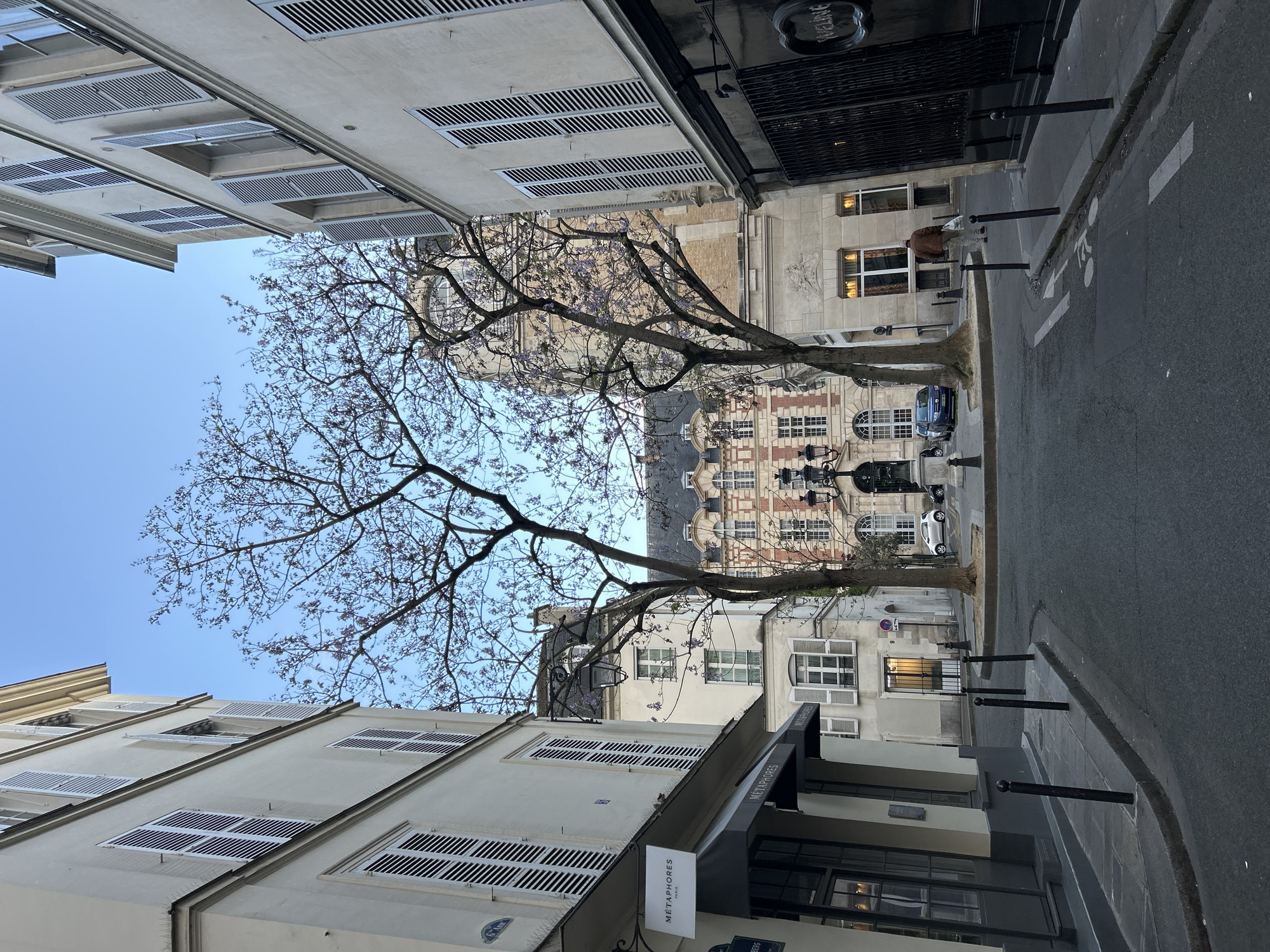 The image shows a narrow street in Paris. The street is lined with buildings with white facades and dark shutters. A tree with budding blossoms stands in the middle of the street, its branches reaching across the sky. A pedestrian is walking on the right sidewalk. Cars are parked along the curb. A business called Metaphores is visible on the lower left. The sky is blue.