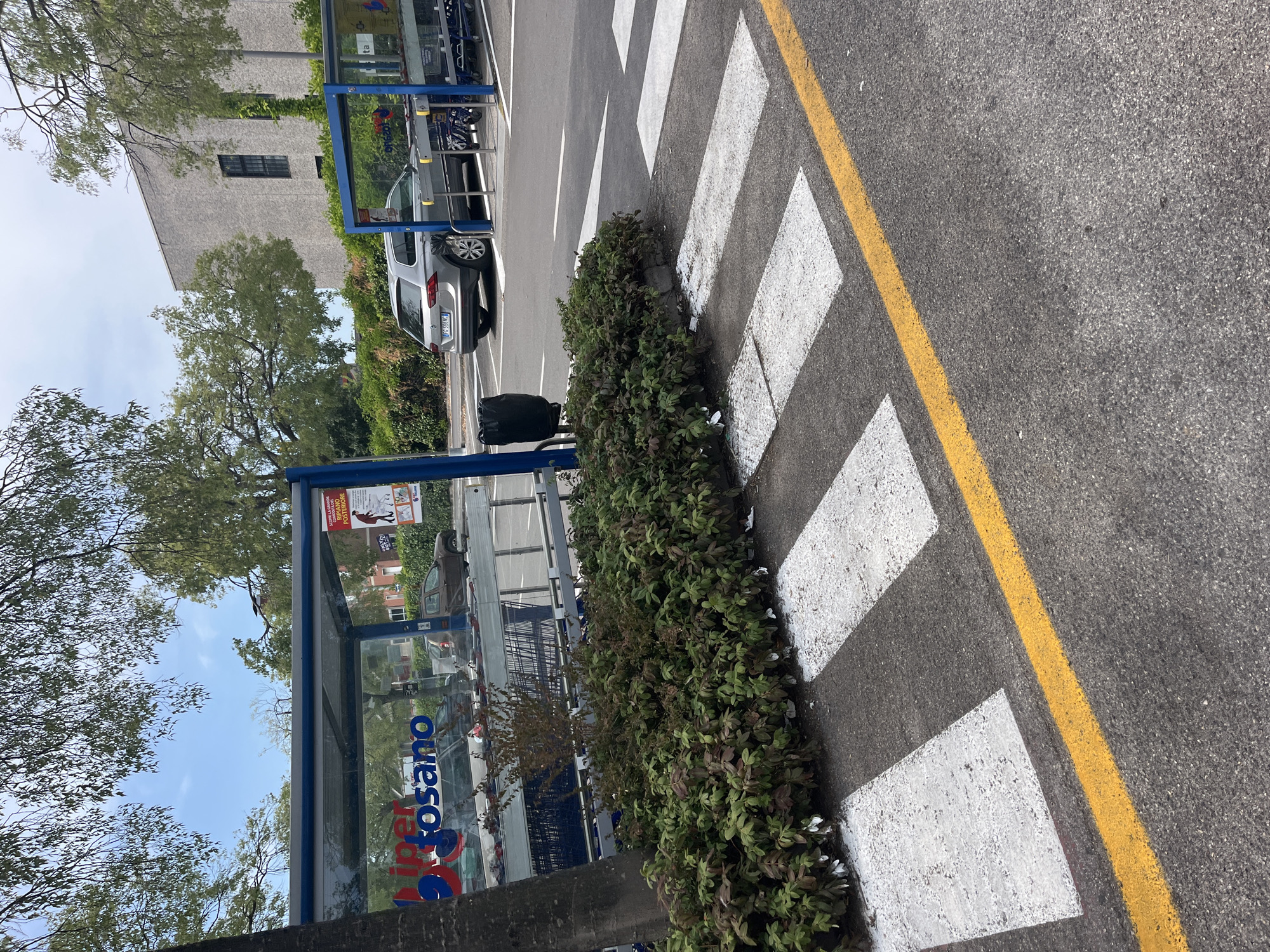 The image shows an outdoor scene in front of a supermarket, likely "Iper Fosano" as indicated by the signage visible on the glass shelter. The foreground features a pedestrian crosswalk with white stripes and a yellow line marking. Behind the crosswalk, a dense green bush is planted. To the right of the bush and crosswalk, a gray Volkswagen Tiguan is parked. Further back, a covered area houses numerous shopping carts. Beyond this, a light-colored building with dark windows is visible, surrounded by greenery. The sky is clear and blue with some tree branches overhead. The scene appears to be located in the city of Castiglione delle Stiviere, Italy, as suggested by the "Iper Fosano" signage, which is a hypermarket chain with a location in that city.