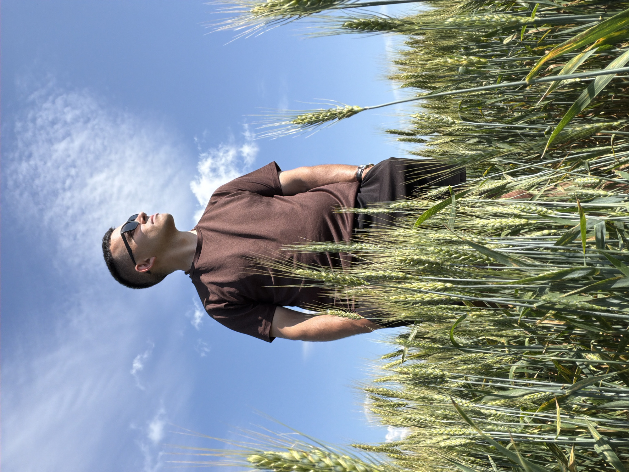 An adult male wearing a brown t-shirt, black shorts, and sunglasses stands in a field of green wheat under a blue sky with scattered clouds. He is looking up and to his right, with his hands in his pockets. The image was taken in Podshivalovo, Russia, on a sunny day.