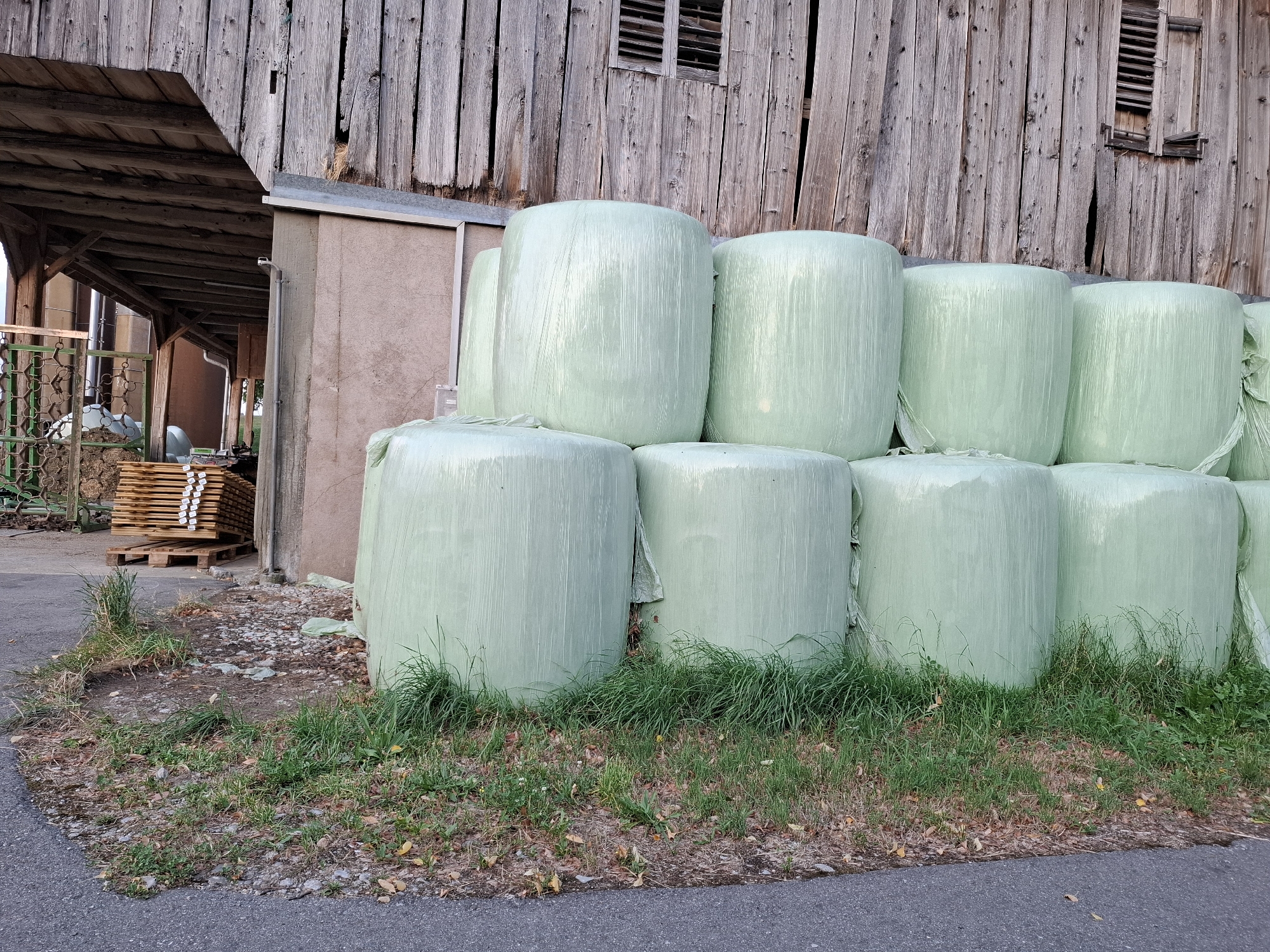 The image shows a collection of large, round hay bales wrapped in light green plastic, stacked against the weathered wooden wall of a barn. The barn has a section of open roofing on the left, revealing wooden beams and a darker interior. In the background, to the left of the hay bales, there is a pile of stacked lumber on pallets. The ground in front of the bales is covered with grass, dry leaves, and scattered gravel. A paved surface, likely a road or driveway, is visible in the foreground. The scene appears to be outdoors, in a rural or semi-rural setting, possibly on a farm.