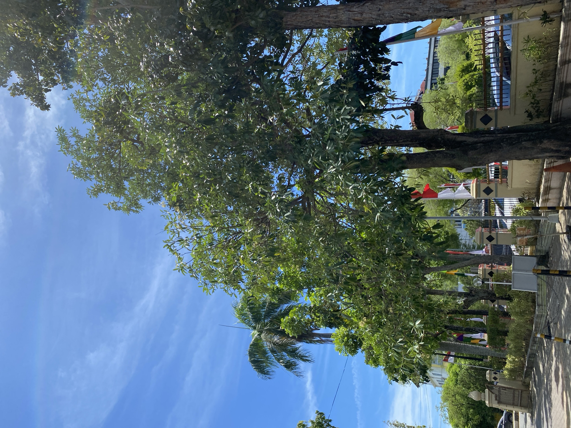 This image depicts a street scene in Banda Aceh, Indonesia, under a bright blue sky with scattered wispy clouds. Lush green trees, including a tall palm tree, dominate the foreground and midground, casting shadows on a paved sidewalk and street. In the background, a building with multiple stories is visible, surrounded by more trees. Several flags are displayed along a decorative fence, adding a touch of national or local pride to the scene. The overall atmosphere is serene and sunny, suggesting a typical day in this Indonesian city.