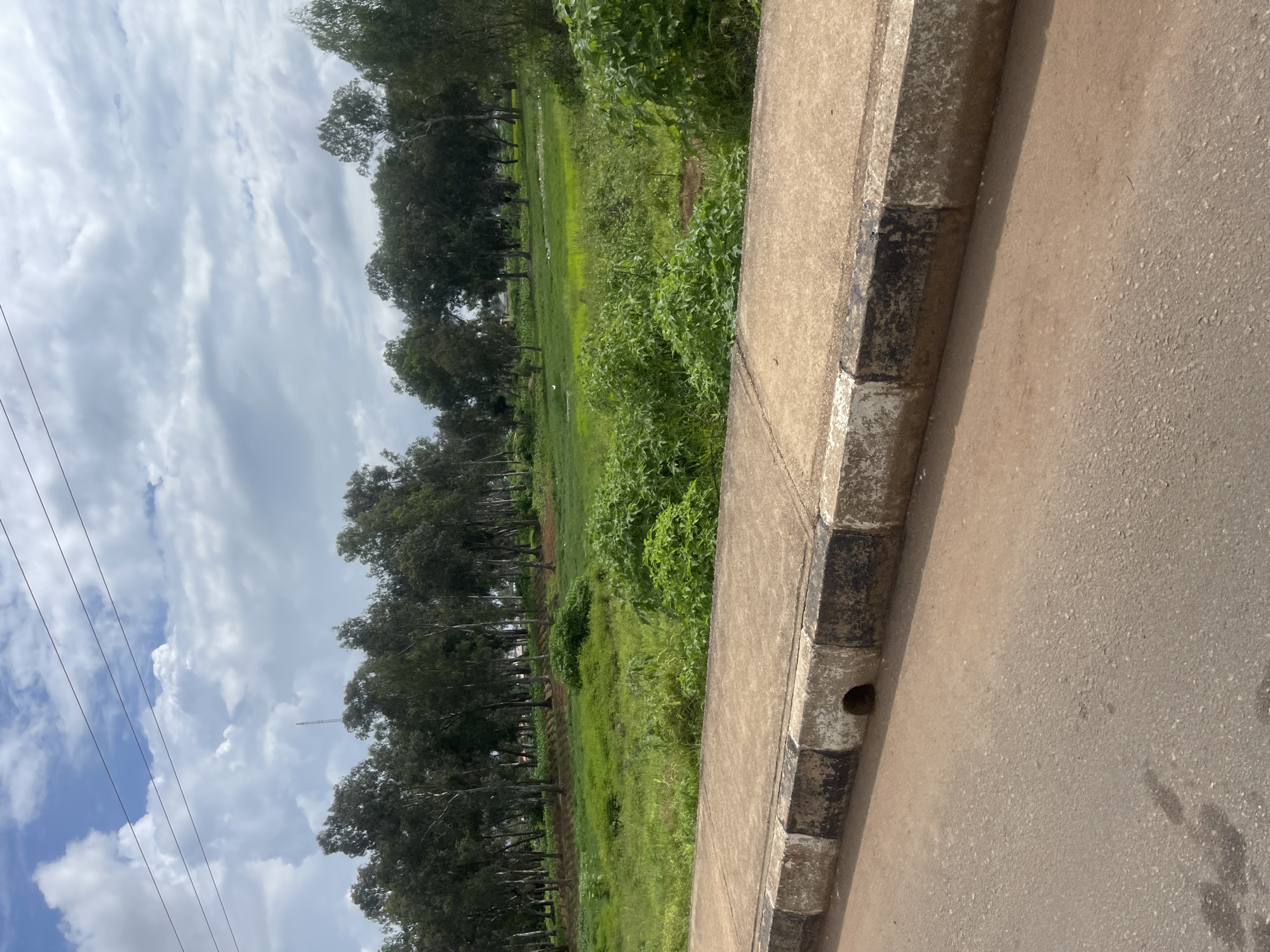 The image captures a section of Bar Jirgi Summa, Nigeria, depicting a road verge with a concrete sidewalk and curb. Beyond the sidewalk, a lush green field is visible, dotted with numerous trees forming a dense line in the background. The sky is partially cloudy, with dramatic white clouds against a blue backdrop. Electrical wires are strung across the top of the frame. The foreground shows a portion of an asphalt road and the textured surface of the sidewalk. A drainage opening is visible on the side of the curb. The overall scene suggests a natural or semi-natural environment adjacent to a developed area.