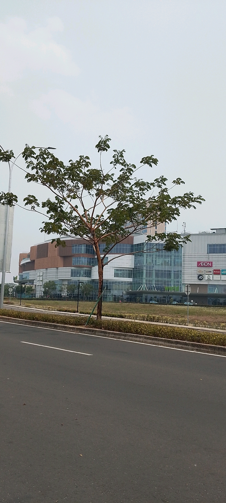 The image shows a modern building with a large glass facade in Gunung Putri, Indonesia. In the foreground, a tree with sparse green leaves stands tall, its branches reaching towards the sky. A paved road with white lane markings is visible in the lower part of the frame, with a grassy median strip separating it from the building. The building itself features a mix of materials, including glass, wood-toned panels, and white sections, creating a contemporary architectural style. Several signs are visible on the building's facade, including "AEON," "JD," and "Sari Roti," suggesting it is a commercial establishment, likely a shopping mall. The sky is overcast with a light, diffused light. There are no people visible in the image, and no discernible action is taking place.