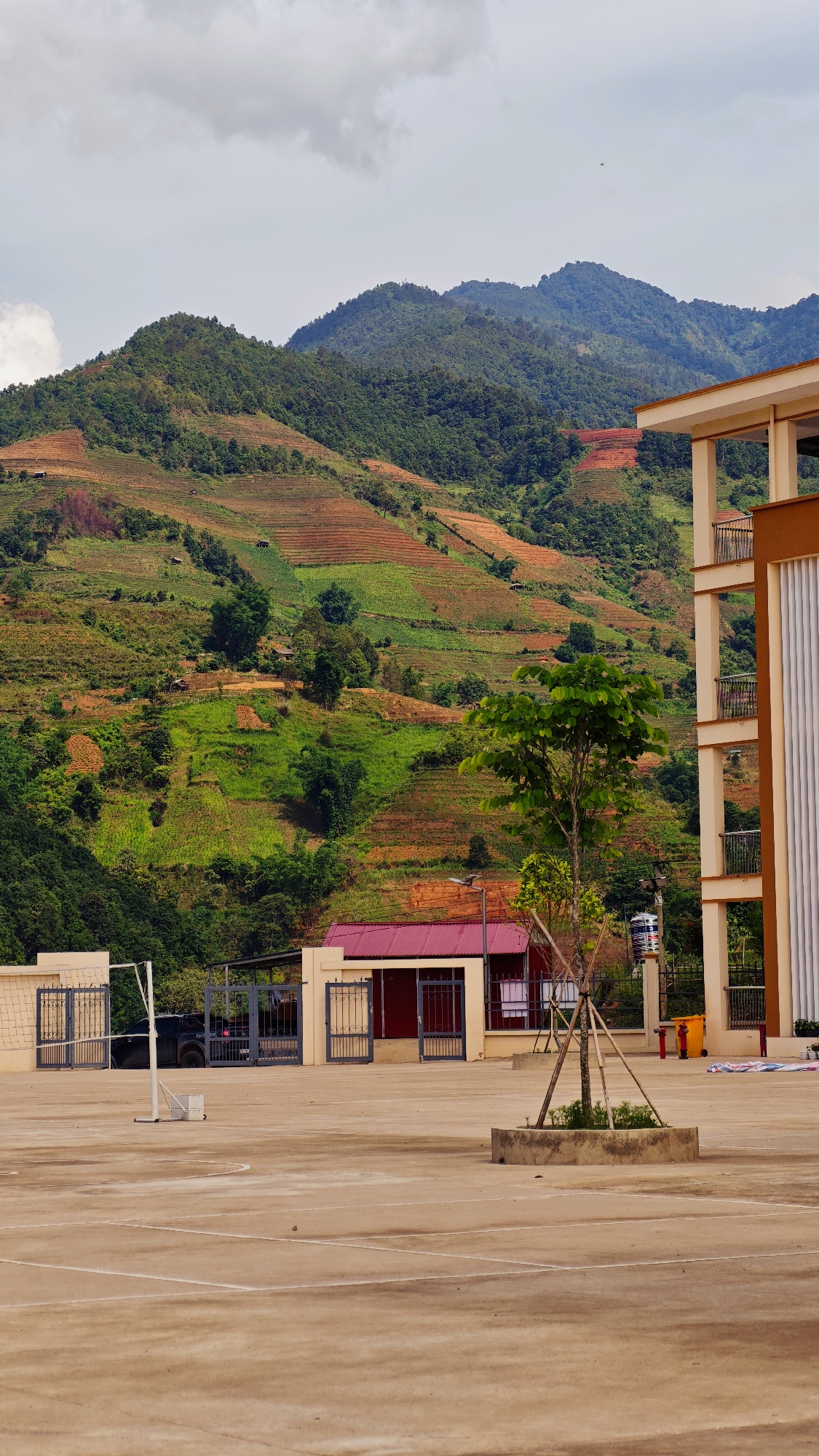 This vertical full shot presents a mountainous landscape in Lao Chai, Vietnam, observed from an outdoor concrete court. The foreground features a large, empty, light-brown concrete court with faded white lines, suggesting a sports area like basketball or volleyball, complete with a net post on the left. A young tree with green leaves stands in a circular concrete planter in the mid-foreground.
To the left, a low, light-colored building with a red corrugated roof is visible behind a grey metal gate. A dark pickup truck, partially visible through the gate, has a license plate displaying "29C-XXXXX". On the right, a multi-story building with beige walls, brown trim, and balconies with dark railings occupies the right edge of the frame. A blue and white water tank and a yellow trash bin are near this building.
The midground and background are dominated by steep, terraced mountainsides. These terraces exhibit a mosaic of lush green vegetation and reddish-brown cultivated earth, characteristic of agricultural fields. Scattered small structures or huts are nestled among the terraces. The higher parts of the mountains are covered in dense, dark green forest.
The sky is overcast with soft, grey clouds, indicating a cloudy daytime, likely late morning or early afternoon. No people are visible, and no specific activity is taking place. The scene conveys a sense of stillness and showcases the blend of human infrastructure with the natural, cultivated mountain environment.