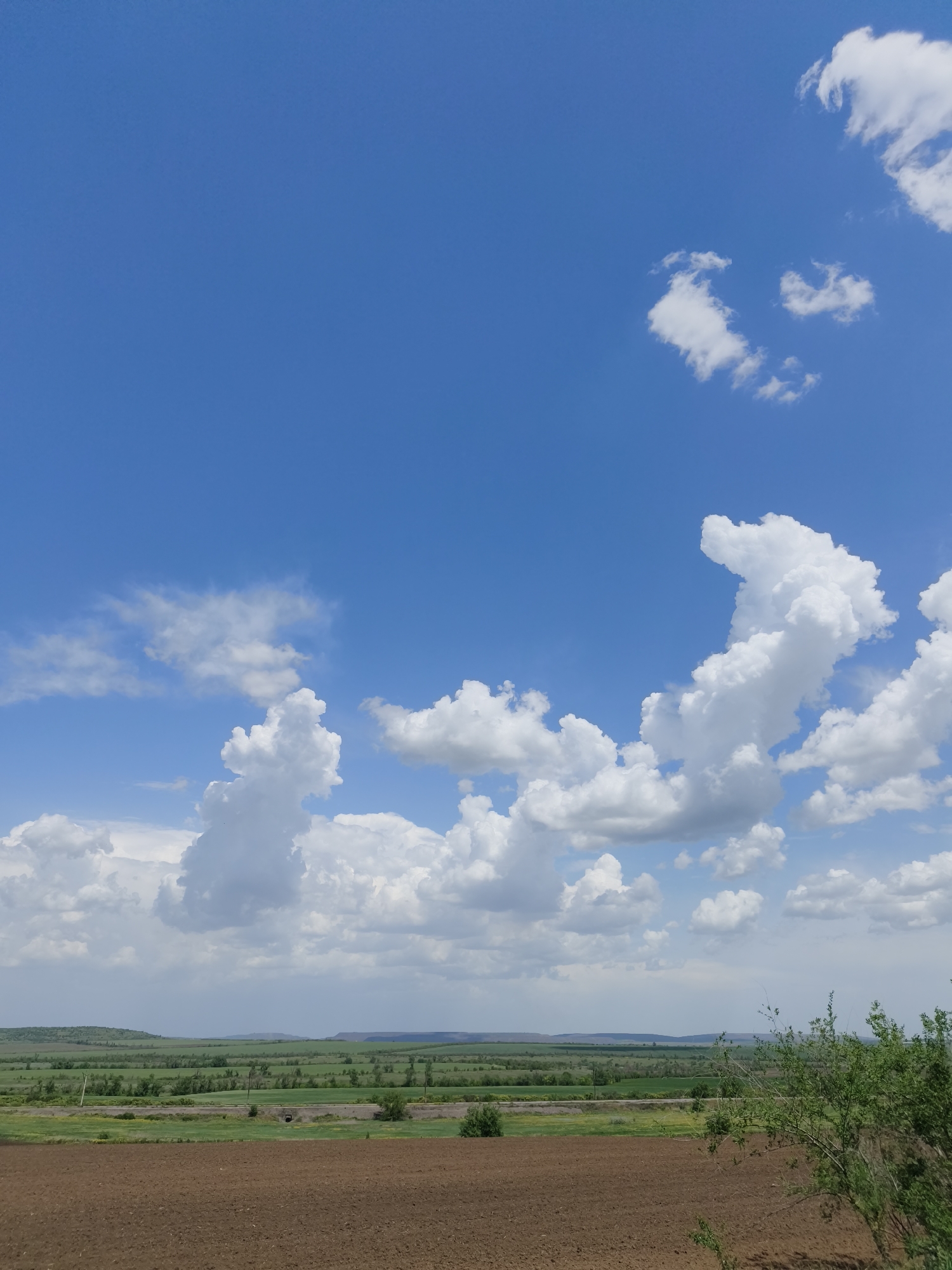 The image depicts a rural scene in Kryvyi Rih, Ukraine, on a sunny day with a blue sky dotted with white cumulus clouds. In the foreground is a field of brown, tilled soil, possibly farmland. A green expanse of fields and sparse trees stretches behind it, leading to a distant horizon with rolling hills. A bush with green leaves is partially visible on the right side of the frame.