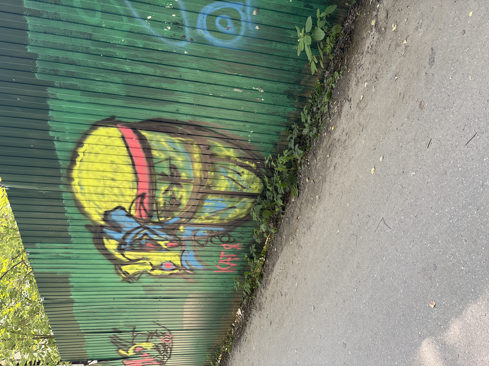 A green corrugated metal fence, covered in graffiti, runs along the side of an asphalt path in Trekhgorka, Russia. The graffiti features cartoonish figures with bright yellow and blue coloring, along with pink lettering that reads "КАТЯ". Vegetation grows at the base of the fence, and a few leaves are scattered on the path. Sunlight dapples the scene.
