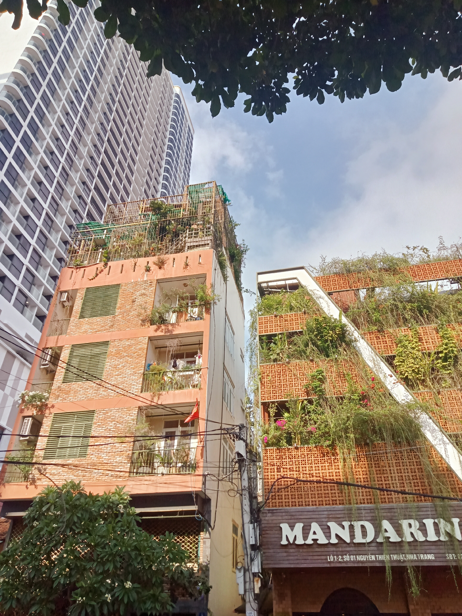 An outdoor, upward-angled shot captures a vibrant urban scene in Nha Trang, Vietnam, showcasing a blend of modern and green-clad buildings under a bright, partly cloudy sky. In the foreground, dark green leaves of an overhead tree partially frame the top of the image.
To the far left, a tall, contemporary high-rise building rises prominently, featuring a striking white grid-patterned facade and dark windows, suggesting a modern architectural design. Immediately below and to its right is a multi-story building with an orange-red brick exterior. Its balconies are adorned with various green plants, and some windows are covered with horizontal green blinds. A small Vietnamese flag is visible hanging from one of its balconies, and air conditioning units are mounted on its exterior. The rooftop of this building hosts a metal structure covered in lush greenery.
To the right, another multi-story building stands out with a distinctive design. Its facade is a rich orange-red, characterized by a repeating patterned texture, possibly terracotta screens. This structure is heavily enveloped in a dense layer of cascading green vines and foliage, creating a living green wall effect. A prominent white diagonal element traverses its front, possibly a ramp or architectural feature. At the base of this building, a wooden sign displays the name "MANDARIN" in white capital letters, with additional text below reading "LÔ 1-2, SỐ 01 NGUYỄN THIỆN THUẬT, NHA TRANG SĐT: 02". Power lines crisscross the mid-ground. The lower left features a tree with green leaves and white flowers. The overall impression is a bustling urban environment that incorporates natural elements.