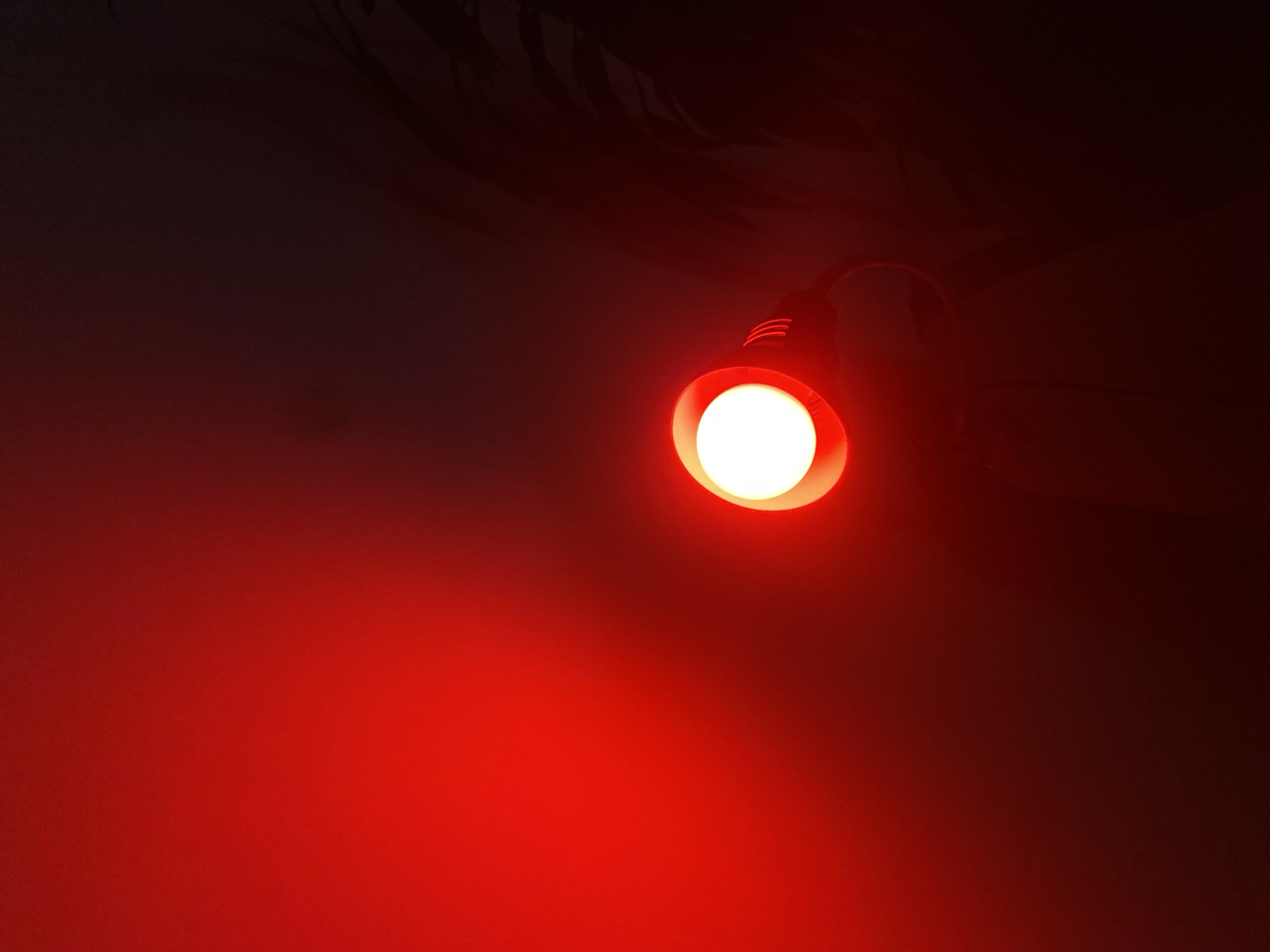 The image shows a red light illuminating a dark environment. On the right side of the image, shadows of plants are visible, suggesting an outdoor setting. The light source itself appears to be a bright, circular lamp with a white center, surrounded by a red glow. The scene is dominated by shades of red and black, creating a dramatic and atmospheric effect. The location is not specified within the city of Budva, Montenegro.
