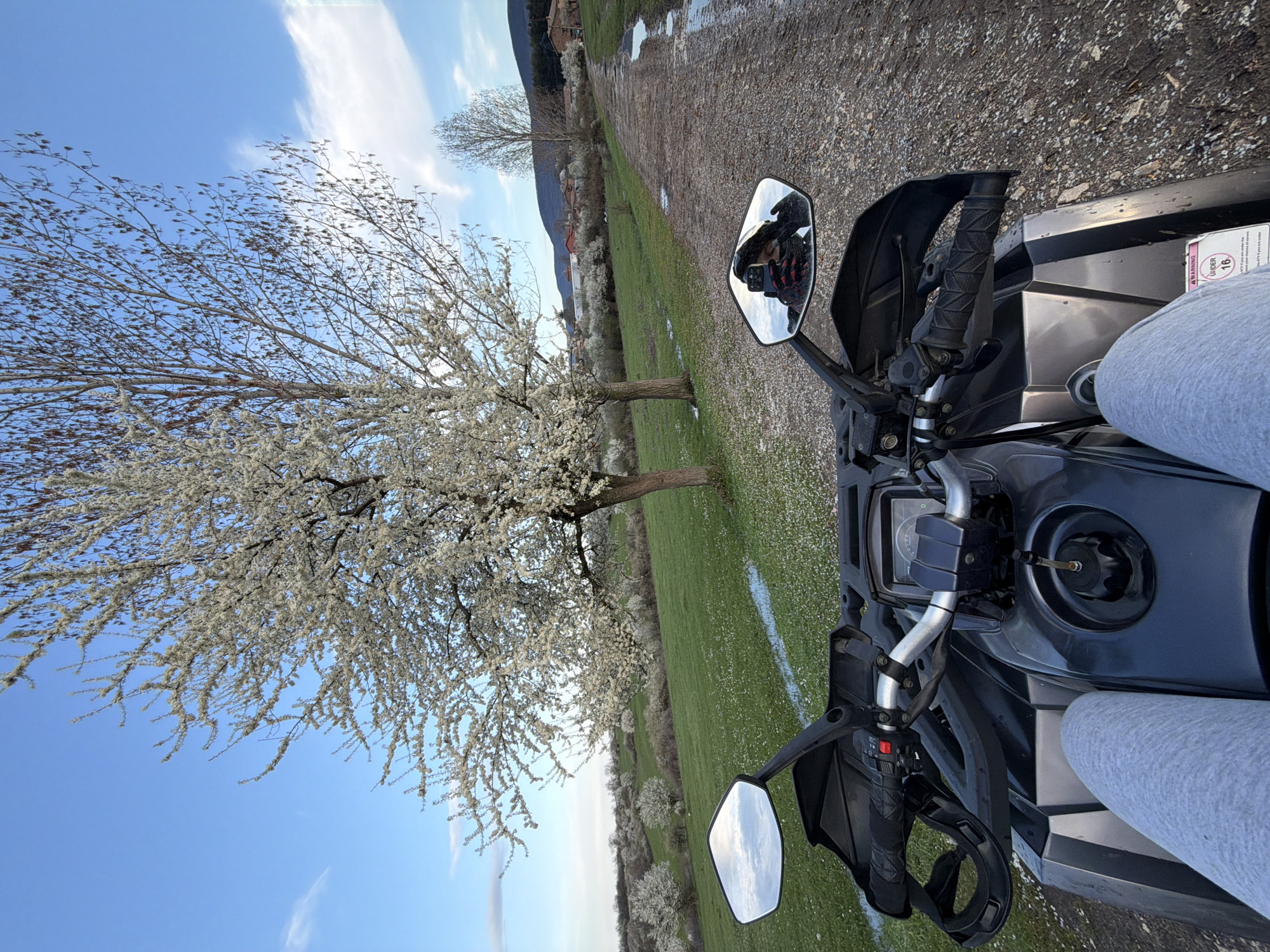The image shows a first-person perspective from an ATV vehicle, with a person wearing gray pants visible in the frame. The ATV is situated on a dirt path adjacent to a green field dotted with white flowers. A tree with white blossoms is on the left. In the distance, there are buildings and a mountain. Based on the location data, the scene is likely in the countryside of Tishevitsa, Bulgaria, characterized by agricultural land. The ATV is likely being driven along the path. The sky is blue with scattered white clouds. The ATV's handlebars, instrument panel, and side mirrors are visible in the foreground.