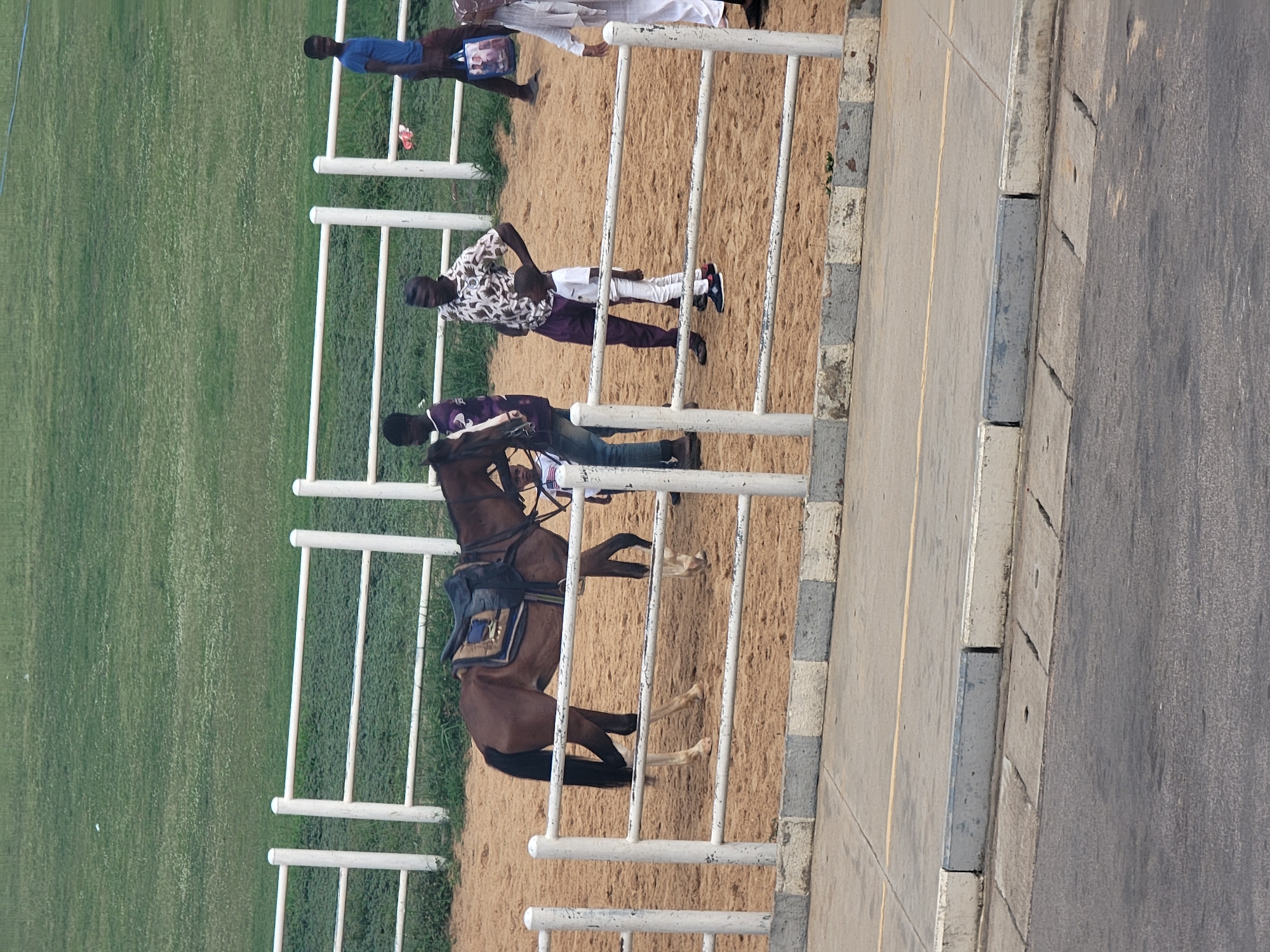 A brown horse with a saddle is positioned behind a white, vertically-oriented fence. A person wearing jeans, a t-shirt, and a cap is seated on the horse. Additional people are standing near the fence. The area behind the fence consists of grass. The ground near the fence is sand-colored. A street with a grey curb is located on the right. The image was taken in Unguwar Sarki, Nigeria.
