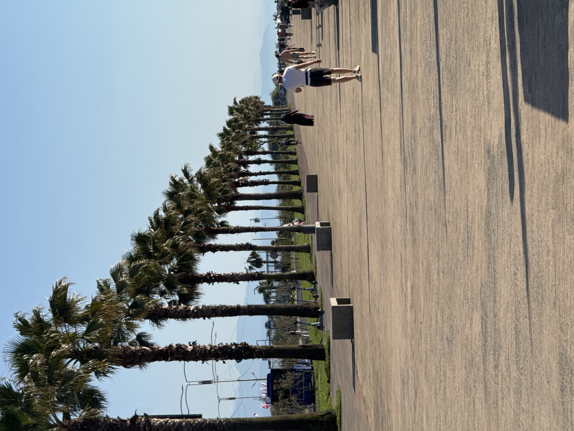 A row of palm trees lines a concrete pedestrian promenade in Batumi, Georgia, along the Black Sea coast. The trees stand between a grassy area with some fencing and structures, and the wide, sunlit promenade. The promenade is busy with people. A man in a white shirt and dark shorts stretches, and others walk in the distance. Shadows of the trees fall across the promenade. Mountains are visible in the distance under a clear, blue sky.