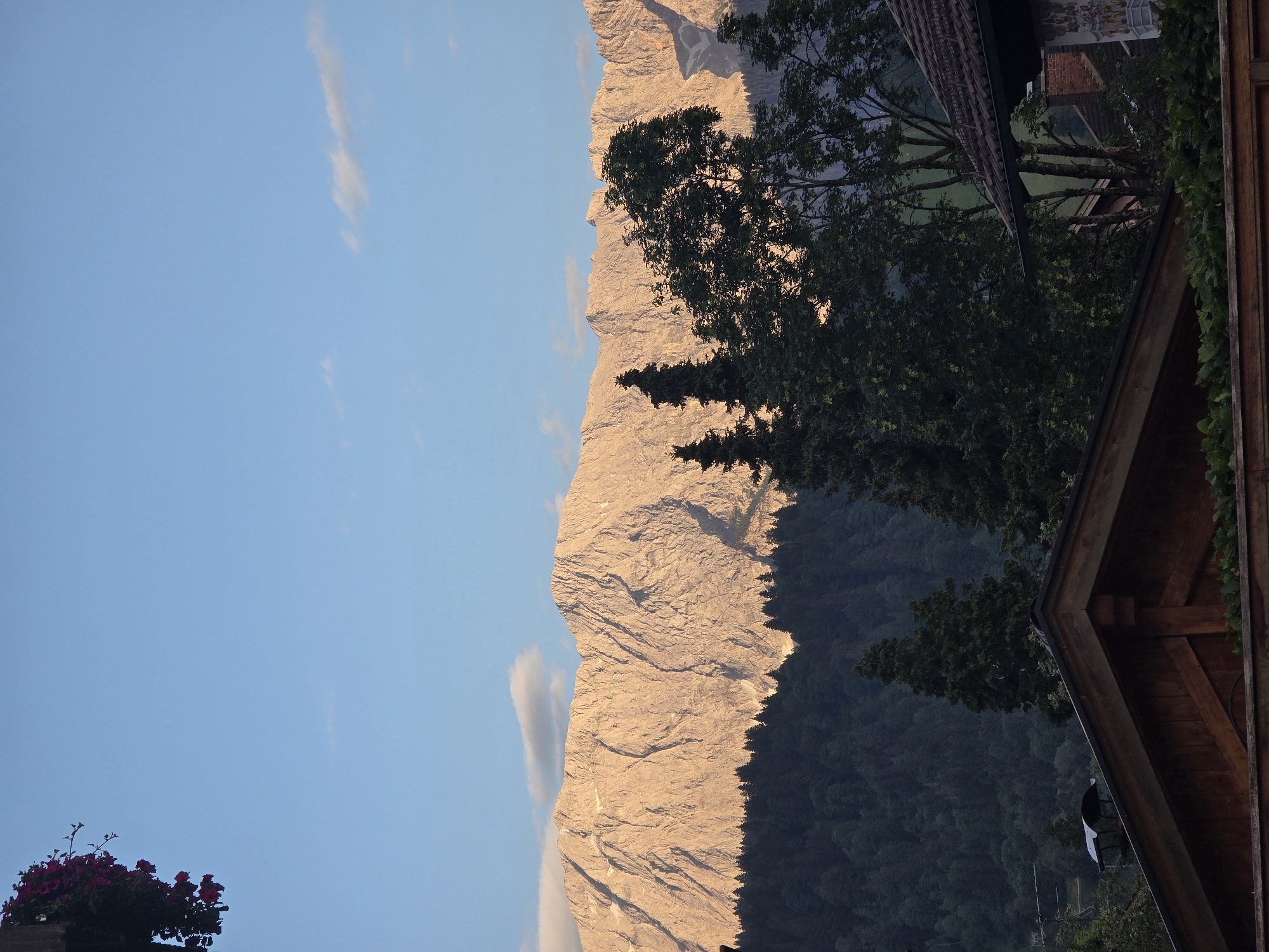 The image shows a view of the Alps from Garmisch-Partenkirchen, Germany. In the foreground, there are two wooden roofs of buildings, possibly houses or chalets. One roof is angled towards the viewer and appears to be made of dark wood. The other roof, behind it, is also wooden and has a chimney. There are some green bushes or hedges in front of the lower roof.
Behind the buildings, a dense, dark green forest covers the lower slopes of the mountains. Above the forest, a majestic mountain range with rocky peaks dominates the mid-ground and background. The mountains are illuminated by the warm, golden light of the setting sun, highlighting their textured surfaces and casting shadows. A few patches of snow are visible on the higher parts of the mountains.
The sky above is a clear, light blue, with a few wispy white clouds. In the upper left corner of the image, a hanging basket filled with dark pink flowers is partially visible, suggesting a residential area or a balcony. The overall scene evokes a sense of natural beauty and tranquility, characteristic of the Bavarian Alps.