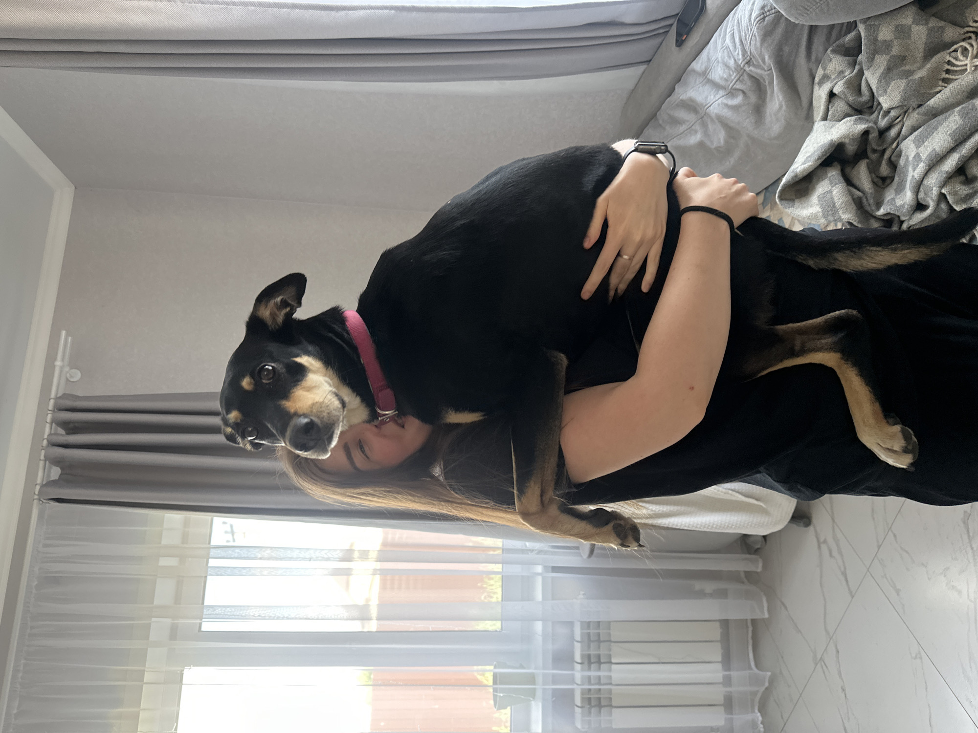 The image, taken in Столбище, Russia, captures a tender moment between a person and a dog in what appears to be a home interior. A woman with long, dark hair is holding a black dog close to her, with the dog resting its front paws on her shoulder/chest. Her face, from the nose down, is visible, and she has a gentle expression. She is wearing a black top, a smart watch on her left wrist, and a ring on her finger.
The dog is predominantly black with distinctive tan markings on its muzzle, eyebrows, and legs, and a bit of tan on its underside. It is wearing a pink collar and looks directly at the camera with expressive eyes, giving the impression of warmth and affection.
The background shows elements of a cozy room. Behind the woman and dog, there's a bed or couch covered with grey fabric and a textured grey and white blanket. To the left, a window is visible, adorned with sheer white curtains and thicker grey drapes, allowing bright natural light to fill the room, suggesting it is daytime. Part of a white radiator can be seen below the window. The floor is covered with light-colored, possibly white, tiles with a faint pattern. A white plastic storage container is also partially visible on the floor. The overall scene conveys a feeling of comfort and the strong bond between a pet and its owner. No discernible text is visible in the image.