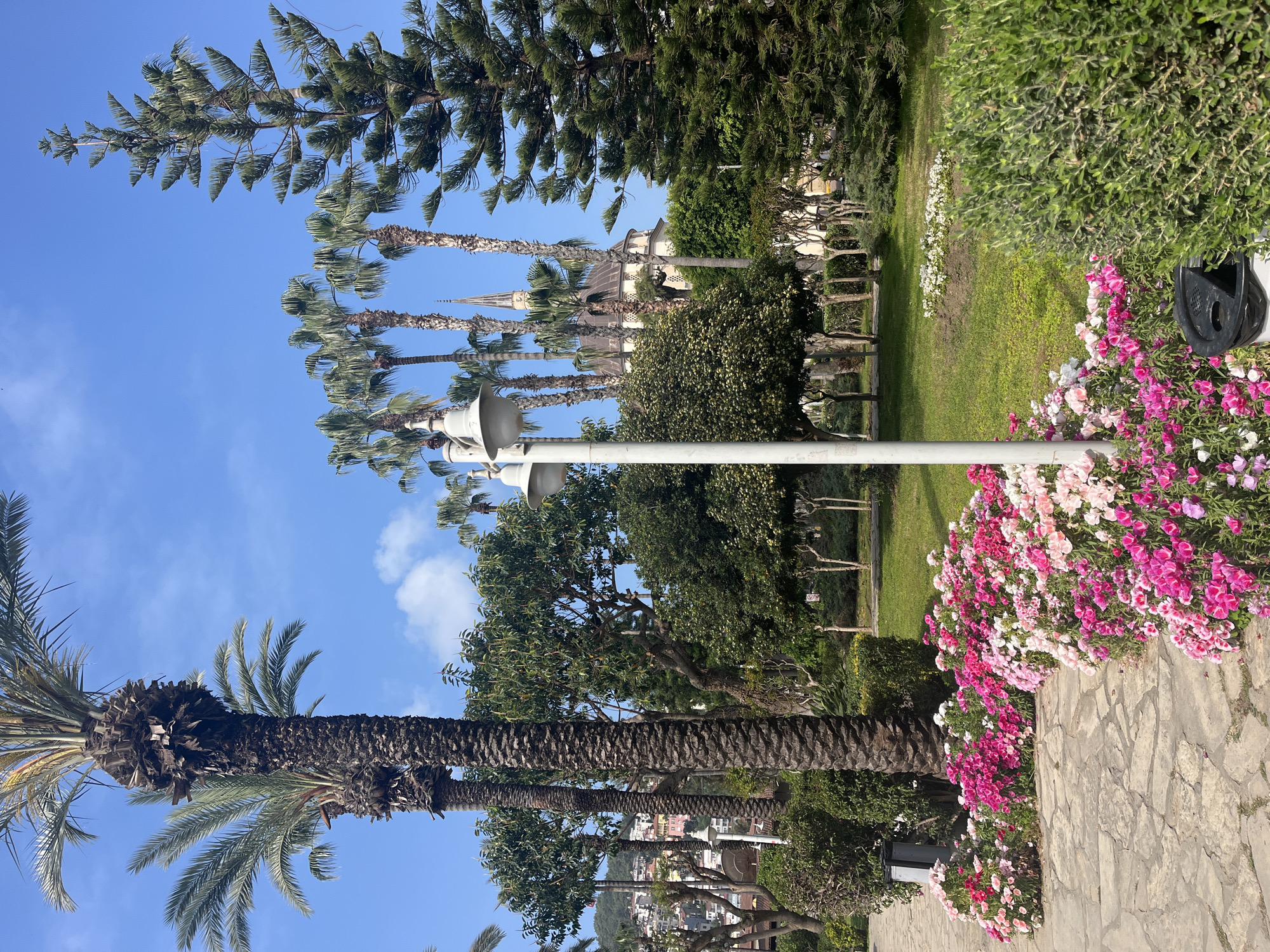 The image depicts a vibrant, well-maintained park or garden under a clear blue sky. In the foreground, a textured stone path curves along the bottom and right side, bordered by abundant beds of colorful flowers, predominantly in shades of pink, white, and magenta. A black outdoor waste bin is partially visible among the flowers on the right.
Tall palm trees with rugged trunks and green fronds dominate the left side of the frame and are scattered throughout the mid-ground. Beyond the path and flowers, a lush green lawn stretches into the distance, interspersed with various other green trees and neatly trimmed bushes. In the mid-ground, a distinctive light-colored building with a tall, pointed spire, resembling a mosque or church, rises above the surrounding foliage and palm trees. Further in the background, a bustling cityscape unfolds across a sloping hillside, revealing numerous buildings under the bright daylight.
The scene conveys a serene and peaceful atmosphere, characteristic of a sunny day in a Mediterranean or tropical location. The sky is bright blue with a few wispy white clouds, indicating clear weather. No people or specific activities are visible. No discernible text is present in the image. The setting aligns with the provided context of Alanya, Turkey, suggesting a coastal park environment.