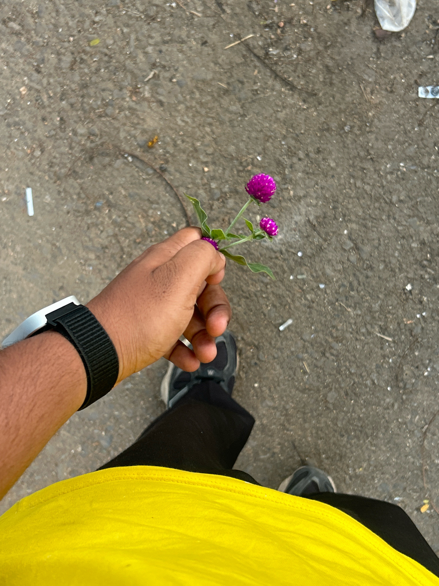 Memory