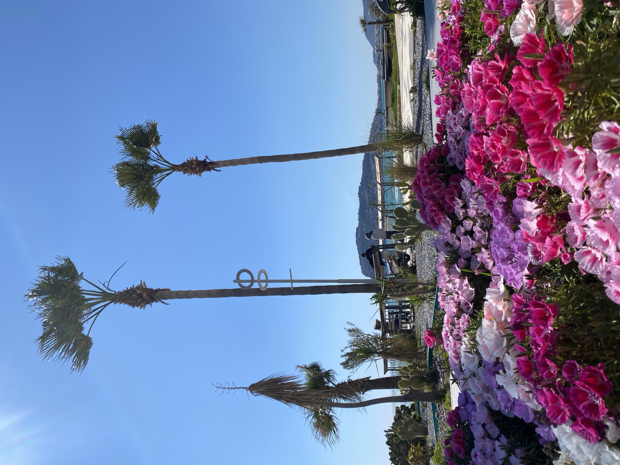 The image showcases a vibrant coastal scene in what appears to be Alanya, Turkey. Three palm trees stand tall against a clear blue sky. A bright flower bed full of pink, purple, and white flowers grows in the foreground. In the background, a strip of beach is visible, separating the land from the sea. Two people sit at a table behind a low railing and a decorative, contemporary light fixture. Mountains are visible in the distance.