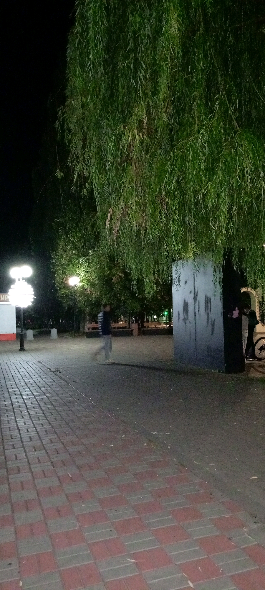 This is a nighttime photograph taken in the city of Kirsanov, Russia, likely on a park or public walkway. A large weeping willow tree dominates the right side of the frame, its branches cascading downwards. To the left, a paved walkway with a red and grey checkered pattern leads into the scene. In the background, several lampposts illuminate the area, casting a soft glow on the trees and pathways.
A person is captured in motion, walking across the paved area. Their form is slightly blurred, suggesting movement and a longer exposure time. Further to the right, near the base of the willow tree, another individual is visible, leaning against a large, grey, rectangular structure that appears to be an art installation or informational display, adorned with dark, abstract markings. Beside this structure, a bicycle is parked. The overall atmosphere is quiet and serene, with the artificial lighting creating an intimate mood.