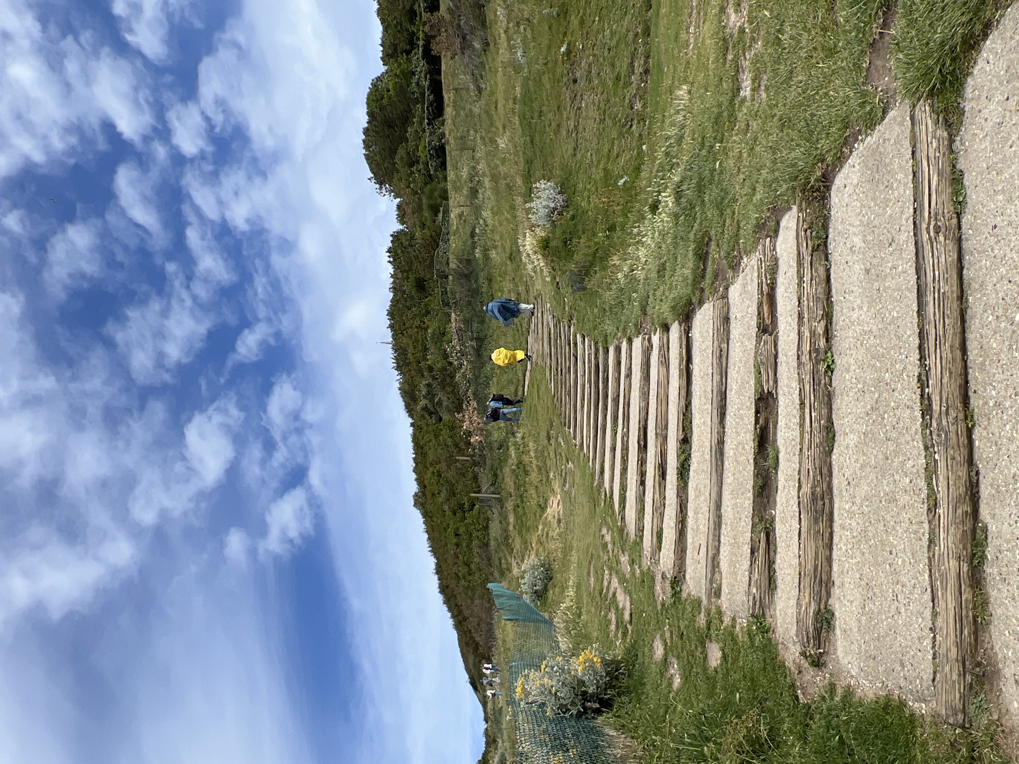 An upward-angled, full shot depicts a weathered wooden and concrete staircase ascending a grassy hill under a partly cloudy blue sky. Several individuals are visible on the hill. On the left, near a green mesh fence, a cluster of yellow wildflowers grows amongst green foliage. Further up the hill, to the right of the fence and slightly above the staircase, a group of four people are walking. Two individuals, dressed in blue and dark clothing, walk away from the camera towards the right. In front of them, two other figures, one in yellow and one in blue, are also walking away from the camera, further up the hill. The hill is covered in green grass and shrubs, with trees forming a dense treeline at the top. The staircase itself is comprised of alternating concrete slabs and rough-hewn wooden planks, showing signs of wear and tear. The environment appears to be a coastal cliff or hillside, consistent with the landscape of Étretat, France, known for its dramatic cliffs and scenic hiking trails.