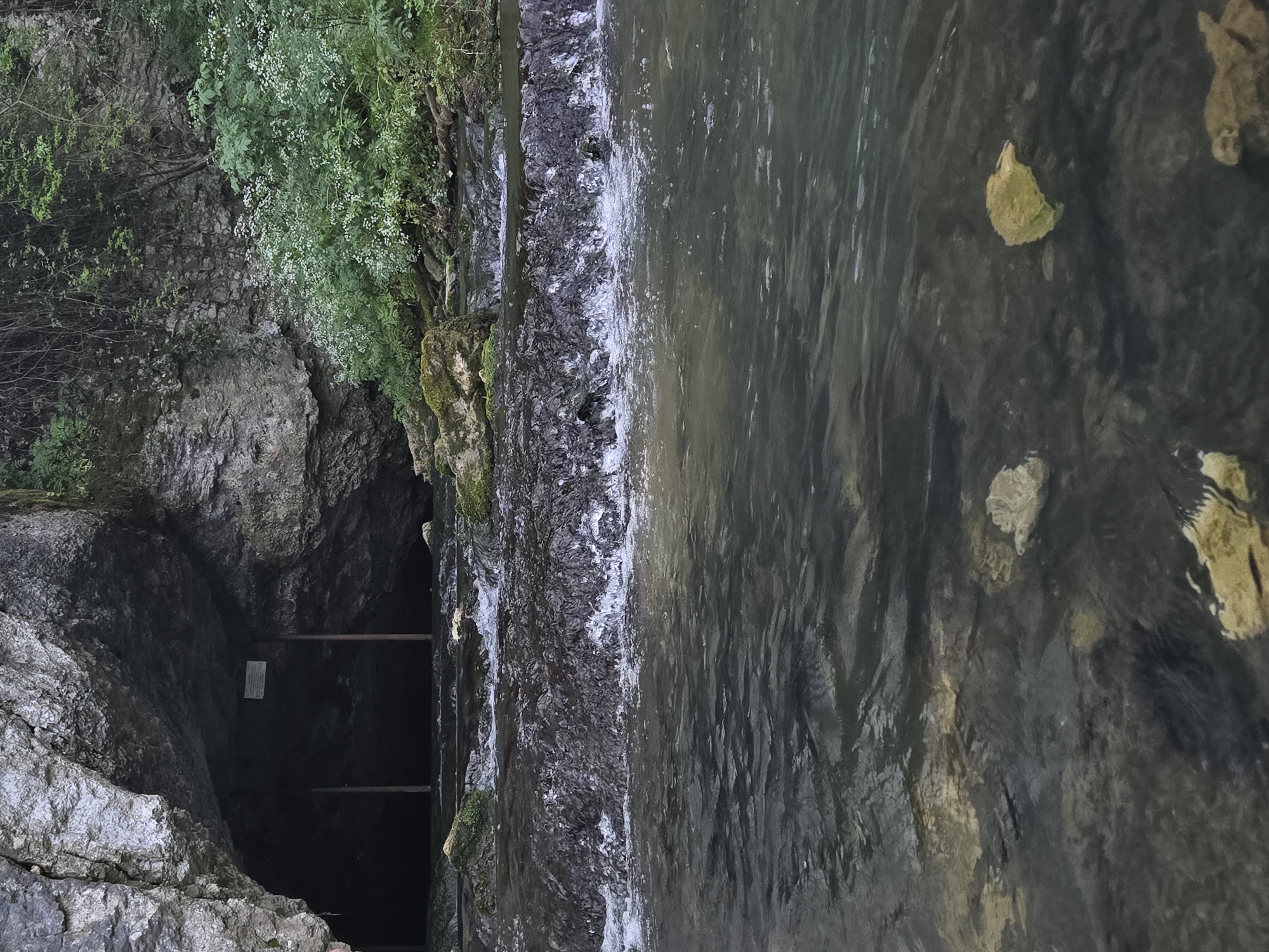 The image shows a dark, recessed cave opening adjacent to a flowing body of water, possibly a stream or a small river. The cave entrance appears to have some rudimentary wooden planks or steps leading into it. The surrounding environment includes rocky terrain and vegetation, with some green foliage visible near the cave entrance and along the water's edge. The water's surface is somewhat reflective, with scattered debris floating on it. The location of the image is unknown.