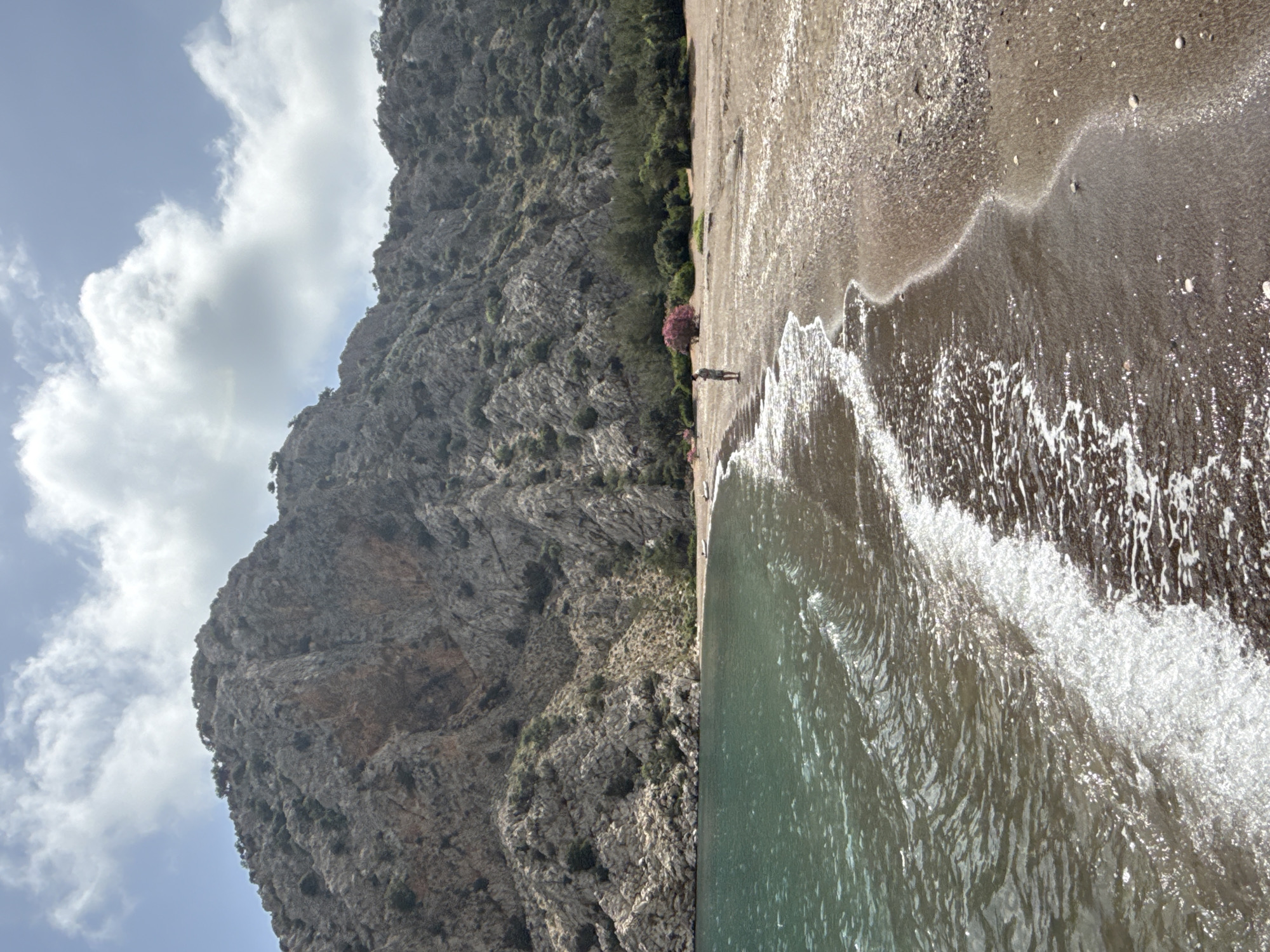 The image shows a coastline with a mountain on the left, a beach in the center, and the ocean on the right. The sky above the mountain is partly cloudy. The mountain is rocky and textured, with some green vegetation visible. The beach is narrow and sandy, with a darker, wet portion closer to the water. Waves are crashing onto the beach. A lone figure is standing on the beach, close to a flowering bush or tree. The image suggests a location along the coast of Kumluca, Turkey, based on the landscape features.