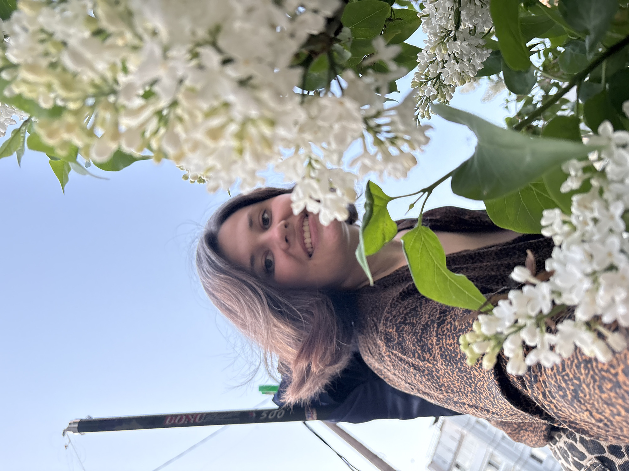 A low-angle shot shows a woman smiling at the camera. She is framed by white lilac blossoms and green leaves. Her hair is partially grey and blonde. She wears a brown and black patterned jacket over a dark top. In the background, the blue sky is visible. A black boom arm with the word "DONUT" on it is in the lower left of the frame. The photo appears to be taken in the city of Chaikovsky, Russia, and there is a building in the background.