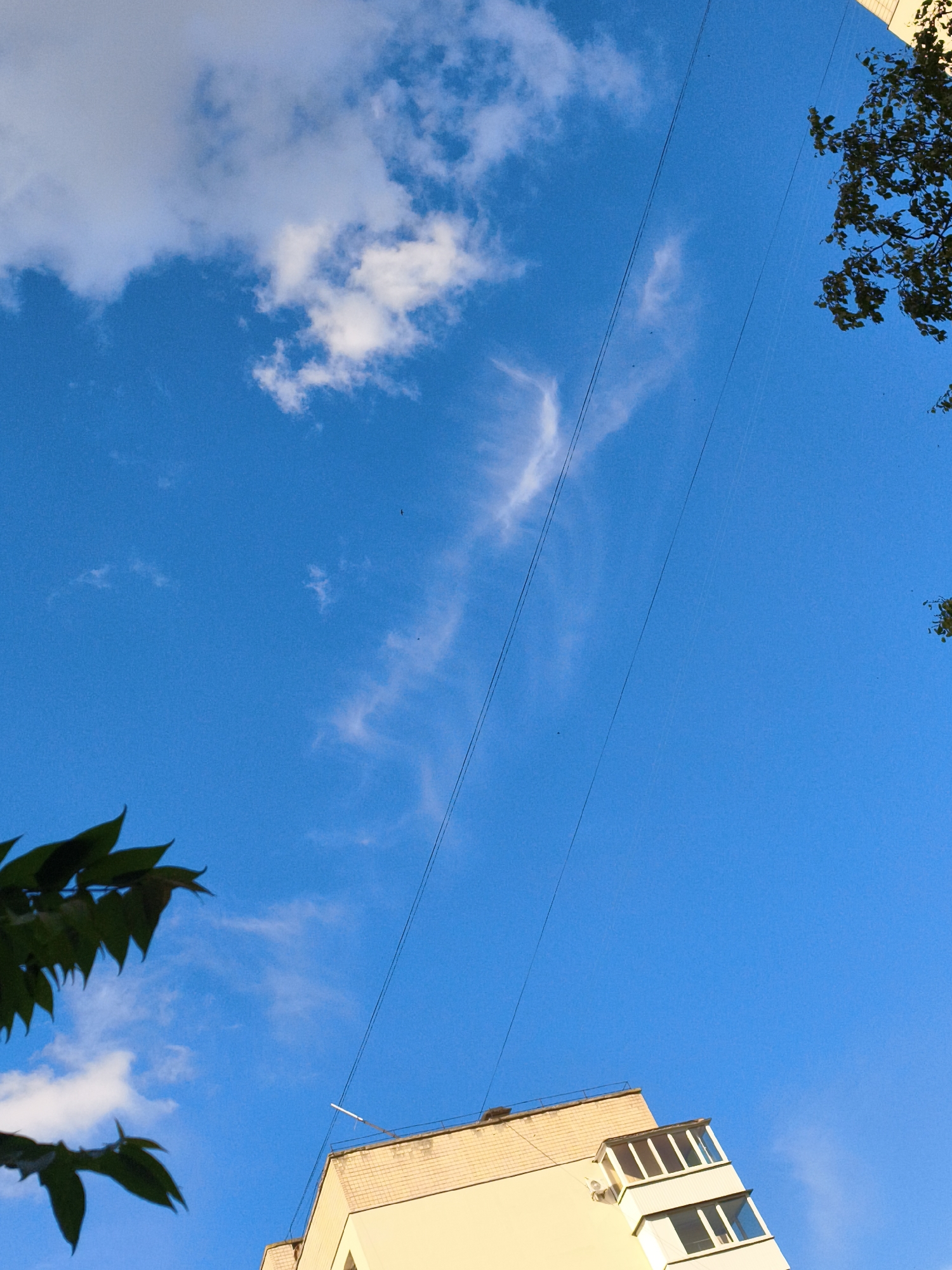 This is a low-angle, vertical outdoor shot of a clear blue sky with some wispy clouds. In the lower right quadrant of the image, the top of a light-colored, multi-story building is visible, featuring a cream-colored facade with a tan brick trim along the roofline. The building has a balcony with white frames and glass panels. Two parallel dark power lines run diagonally across the sky from the upper right towards the lower left. On the far left, a cluster of dark green leaves from a tree branch extends into the frame from the top left corner. The lighting suggests it is daytime, likely late afternoon or early evening, given the angle of the sun illuminating the building. The overall scene conveys a sense of an urban or suburban environment. There is no visible text in the image.