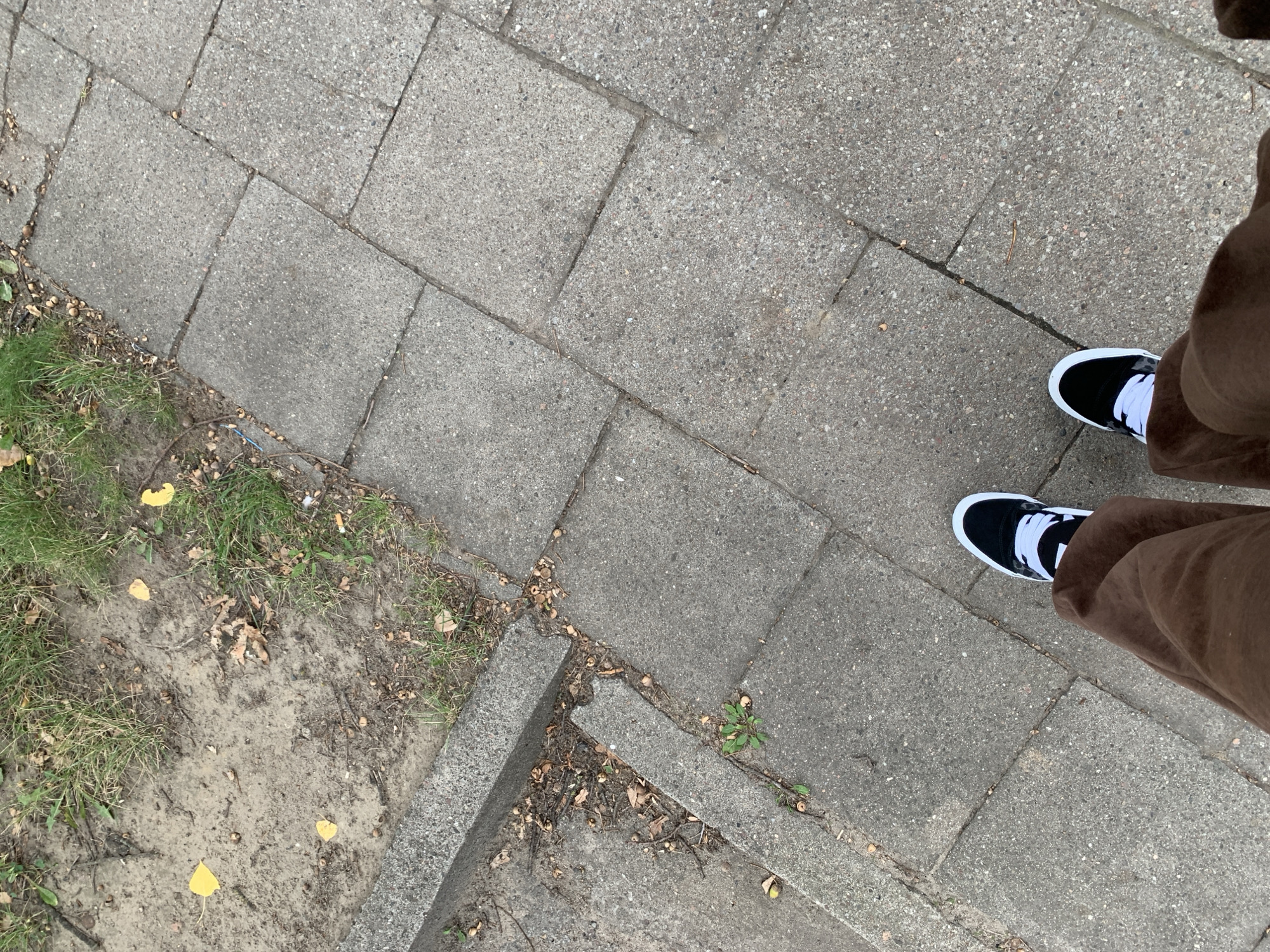 The image is a first-person perspective shot of someone's legs and feet standing on a paved walkway. The walkway is made of square concrete pavers. To the left of the walkway is a patch of dirt with sparse grass and fallen yellow leaves. There is also a concrete curb separating the dirt and grass from the walkway. The person is wearing dark brown pants and black and white sneakers with white laces. The scene appears to be outdoors, likely in an urban or suburban environment.