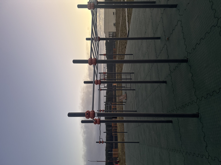 A sideways view shows a workout park, featuring parallel bars of varying heights constructed from dark metal. Orange connectors are visible on the bars. The ground is covered in dark green interlocking tiles. A line of trees appears in the background, with glimpses of structures beyond them. The sky transitions from a light yellow to a pale gray, suggesting either sunrise or sunset.