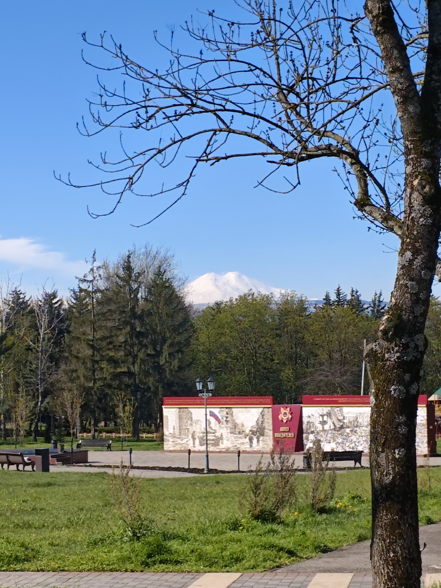 The image captures a park scene in Pyatigorsk, Russia. A tree with bare branches stands in the foreground, partially obscuring the view. Beyond the tree, a well-maintained lawn leads to a paved area with benches and a monument. The monument is adorned with images and inscriptions in Russian, with a prominent red star and the words "Alley of Victors". In the background, a snow-capped mountain peak is visible above the trees. The sky is clear and blue. The overall scene is tranquil, showcasing a public park in the city.