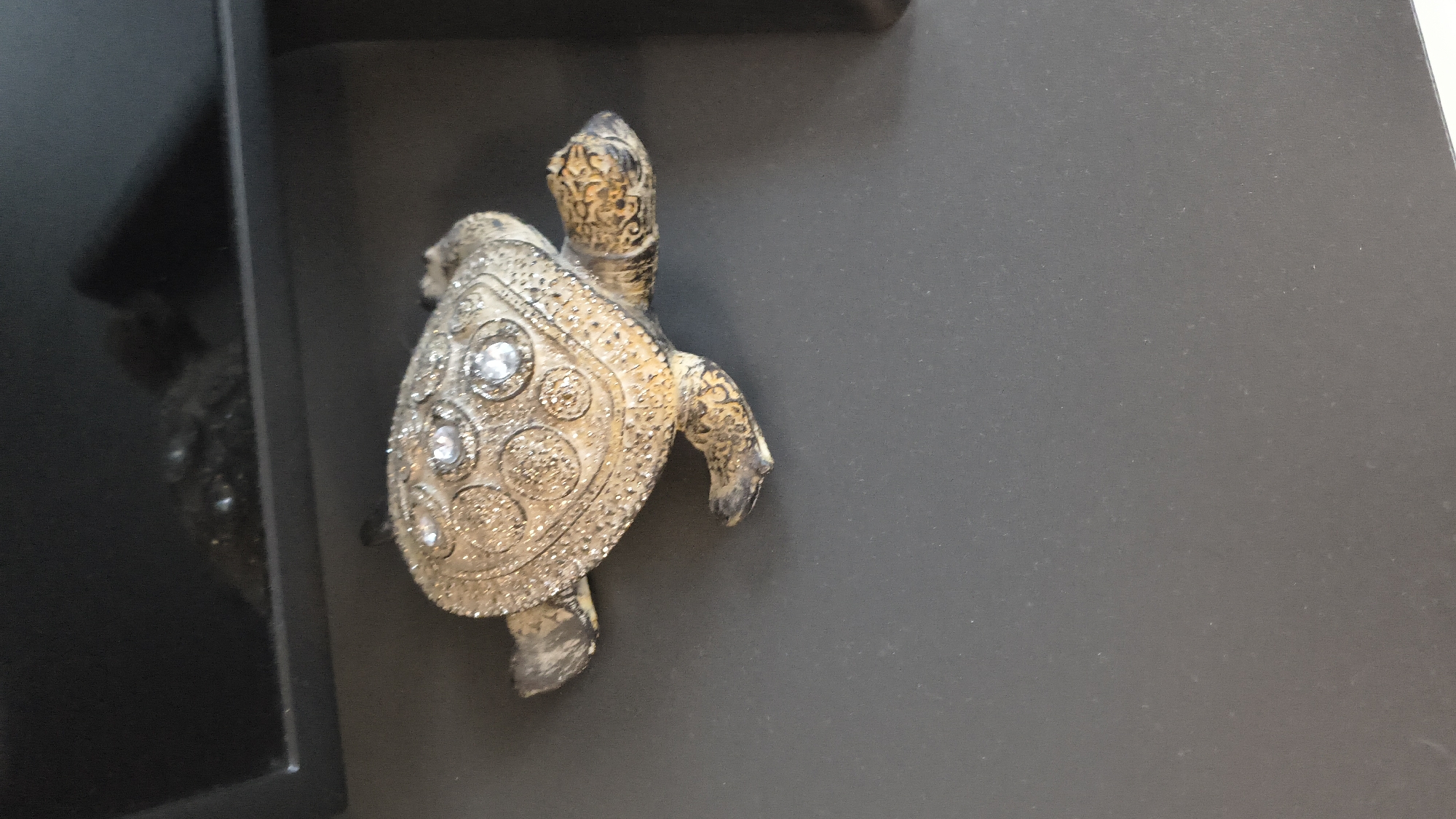 A decorative, gold-colored turtle figurine with ornate etchings and faux gemstones is positioned on a dark gray, flat surface. The surface appears to be a shelf or countertop. Above and behind the figurine, a dark, reflective surface is visible, possibly a black appliance or piece of furniture, with a shadowy reflection of what might be other objects. The lighting is dim, casting some shadows. There is no indication of the city of Shumen, Bulgaria, or any specific location within it.