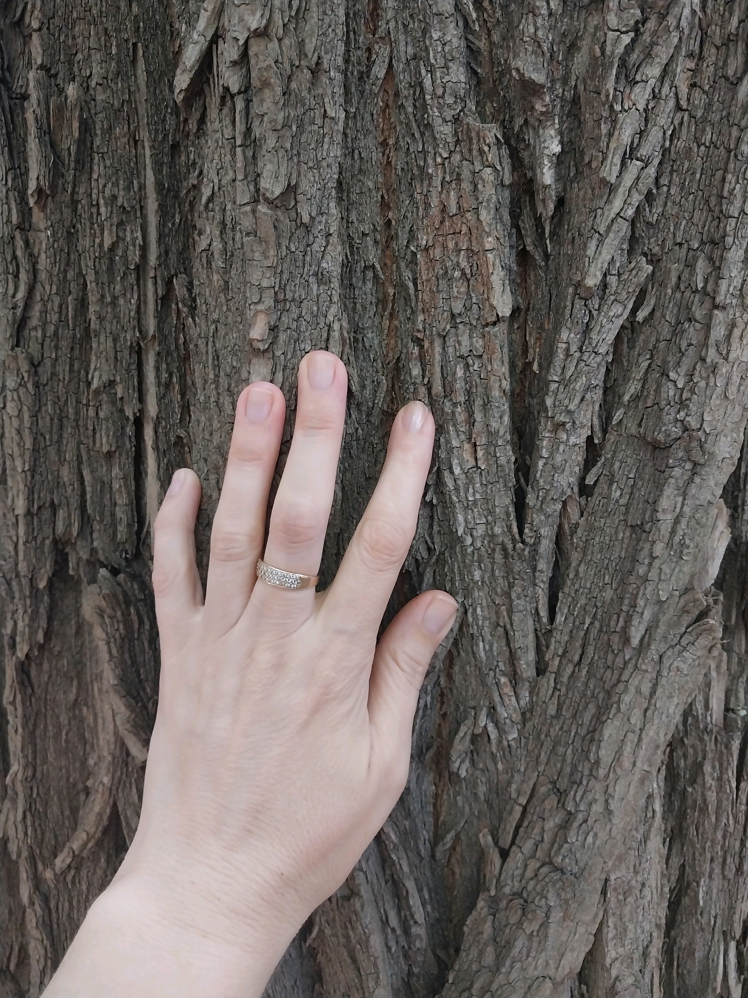 A person's left hand, adorned with a ring featuring small clear stones, rests against the textured bark of a tree. The bark is rough and deeply grooved, with shades of gray and brown. The hand is fair-skinned with neatly trimmed fingernails. The background consists solely of the tree's trunk. The scene is devoid of any specific urban landmarks that would allow for precise location identification within Dnipro, Ukraine.
