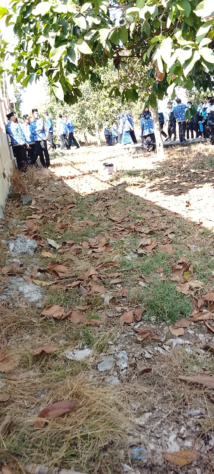 In the city of Tanjung Setia, Indonesia, on a sunny day, a group of individuals, likely students based on their uniforms, are gathered outdoors. The scene is characterized by a natural environment, with trees providing shade and fallen leaves scattered on the ground, interspersed with dry grass and patches of soil. The ground also shows signs of debris, including small rocks and a piece of blue and white plastic.
Several individuals are visible, primarily on the left side of the frame and further back. Those in the foreground on the left are wearing traditional Indonesian attire, consisting of batik shirts and black pants, topped with black peci hats. In the background, more individuals are seen, some in light blue shirts with a patterned design, suggesting school uniforms. Their postures and arrangement imply they might be participating in an event or waiting for instructions. The overall atmosphere appears to be relaxed and casual, set against the backdrop of a warm, outdoor environment.