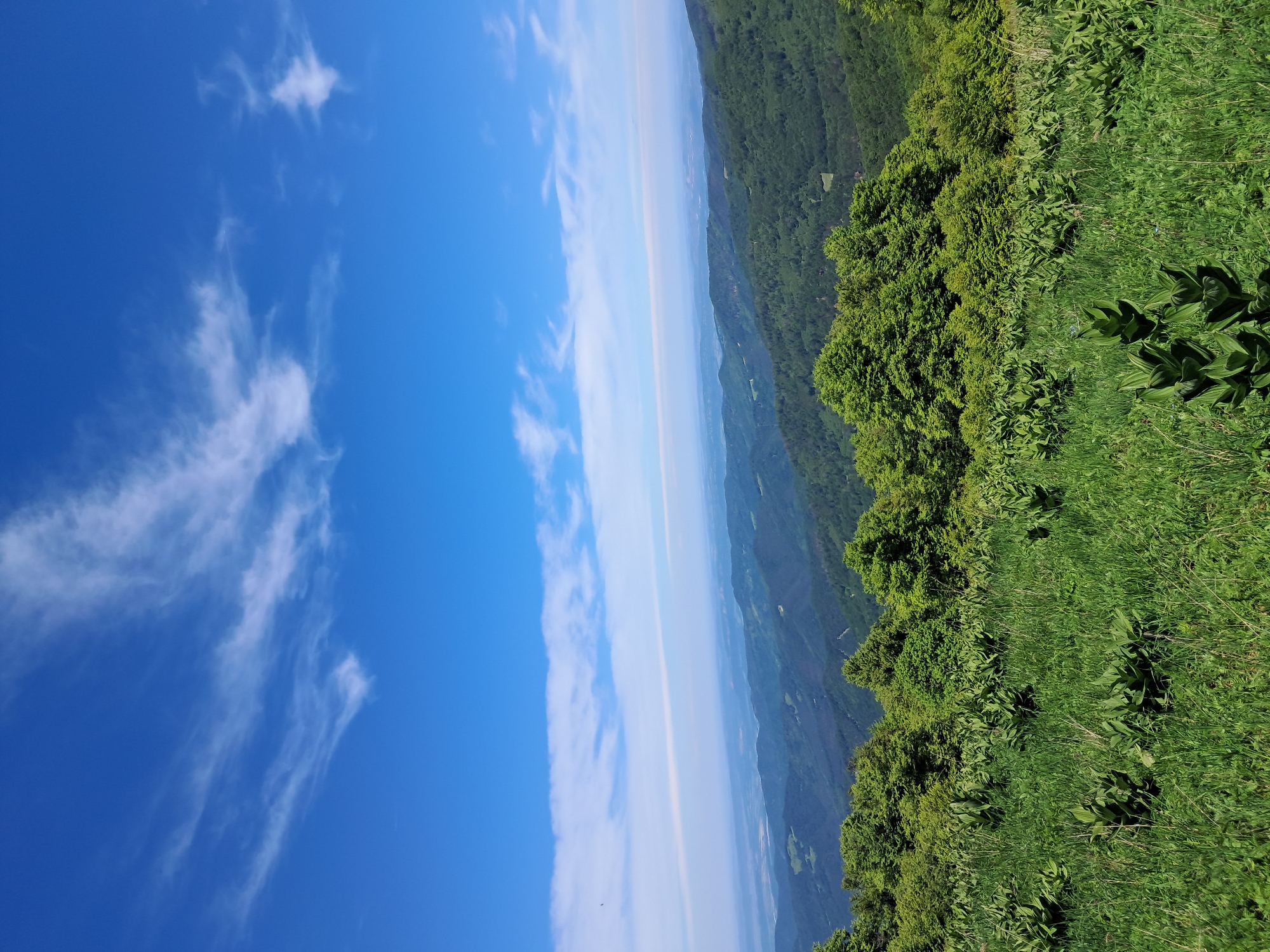 The image presents a landscape view likely taken from a high vantage point. The scene is divided into three primary sections: the sky on the left, a hazy valley in the middle, and a green, vegetated slope on the right.
The sky is a vibrant blue with scattered, wispy white clouds.
A wide, hazy valley stretches between the sky and the green slope. The haze obscures details, but hints of distant mountains and potentially cultivated fields can be discerned.
The green slope on the right is covered in a mix of grasses, bushes, and possibly small trees.
There are no people visible in the frame.
The location is not discernible.
There are no visible actions or interactions.