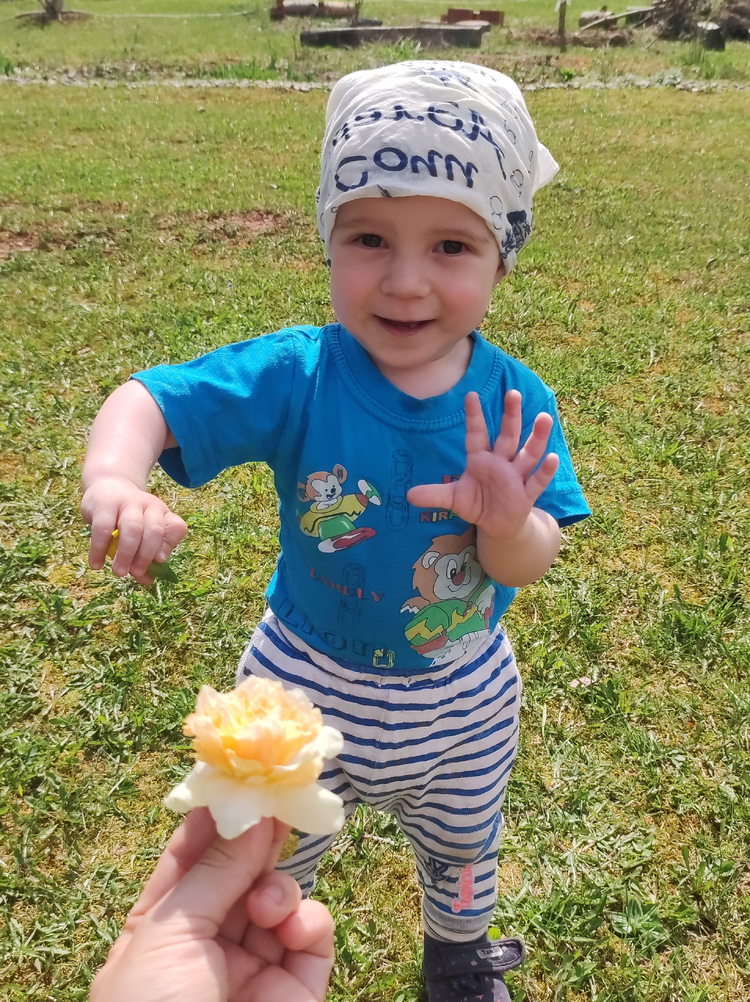 A toddler stands on a green lawn in a grassy area near Фоки, Russia. The child wears a white bandana with blue writing, a blue t-shirt with cartoon characters, and blue and white striped pants. The child holds a small yellow flower in one hand and has the other hand raised with fingers spread. An adult hand holds a second flower in front of the child. The background shows more green grass and some trees and shrubs.