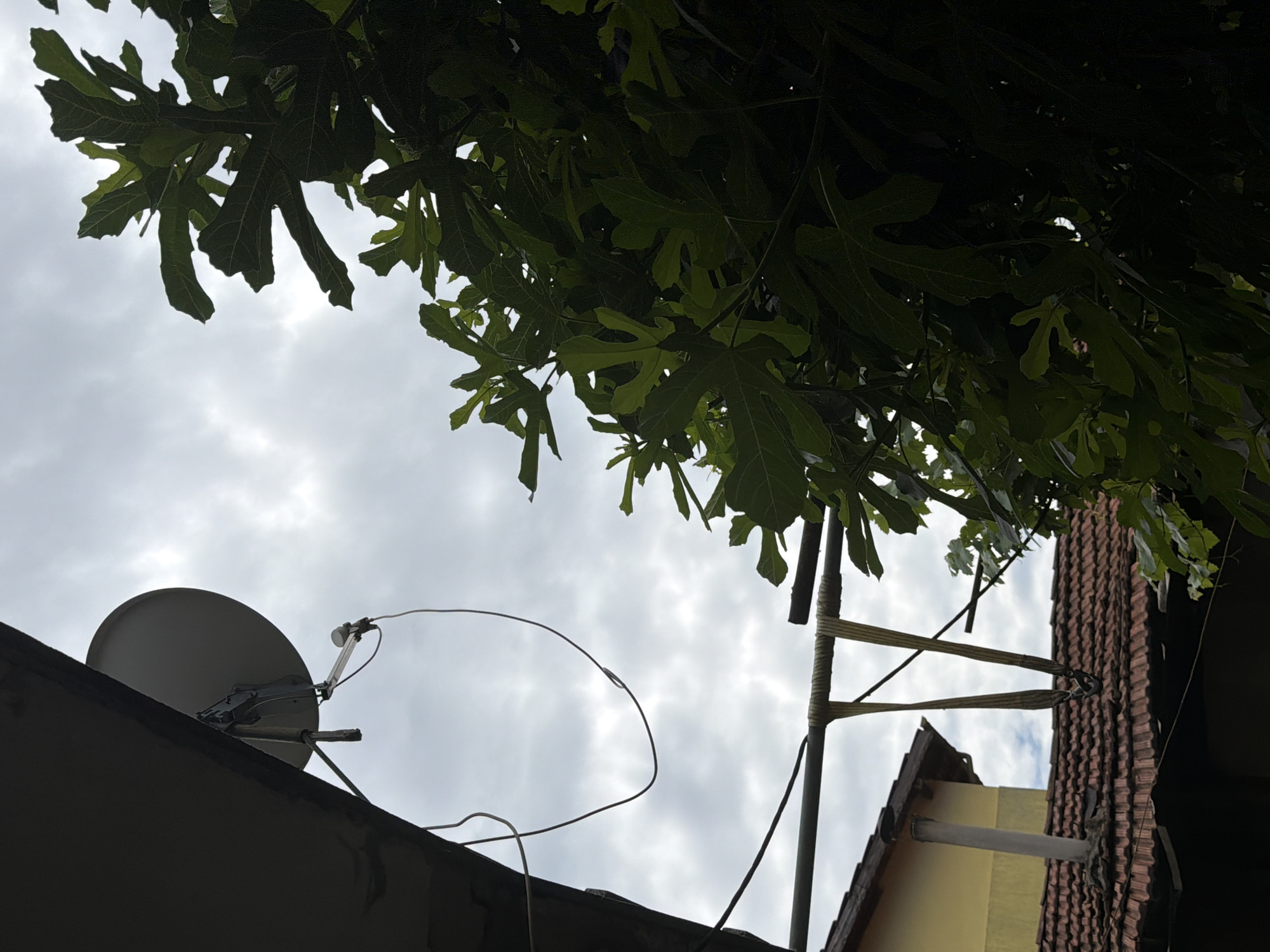 The image shows a satellite dish mounted on a roof, with a cloudy sky in the background. Lush green leaves from a tree hang from the top of the frame, partially obscuring the sky. The satellite dish is grey and round, with a central arm holding a receiver. It is angled upwards, presumably towards a satellite in orbit. The roof appears to be made of dark shingles, and there is some visible wiring connected to the dish. To the right of the satellite dish, a metal pole with straps is visible, also attached to the roof. Below the satellite dish, a section of a yellow building with a tiled roof can be seen. The overall scene suggests an outdoor setting, likely a residential area, possibly on a day with overcast weather. The lighting is soft and diffused, consistent with a cloudy day, and the time of day is indeterminate. There are no people visible in the image.