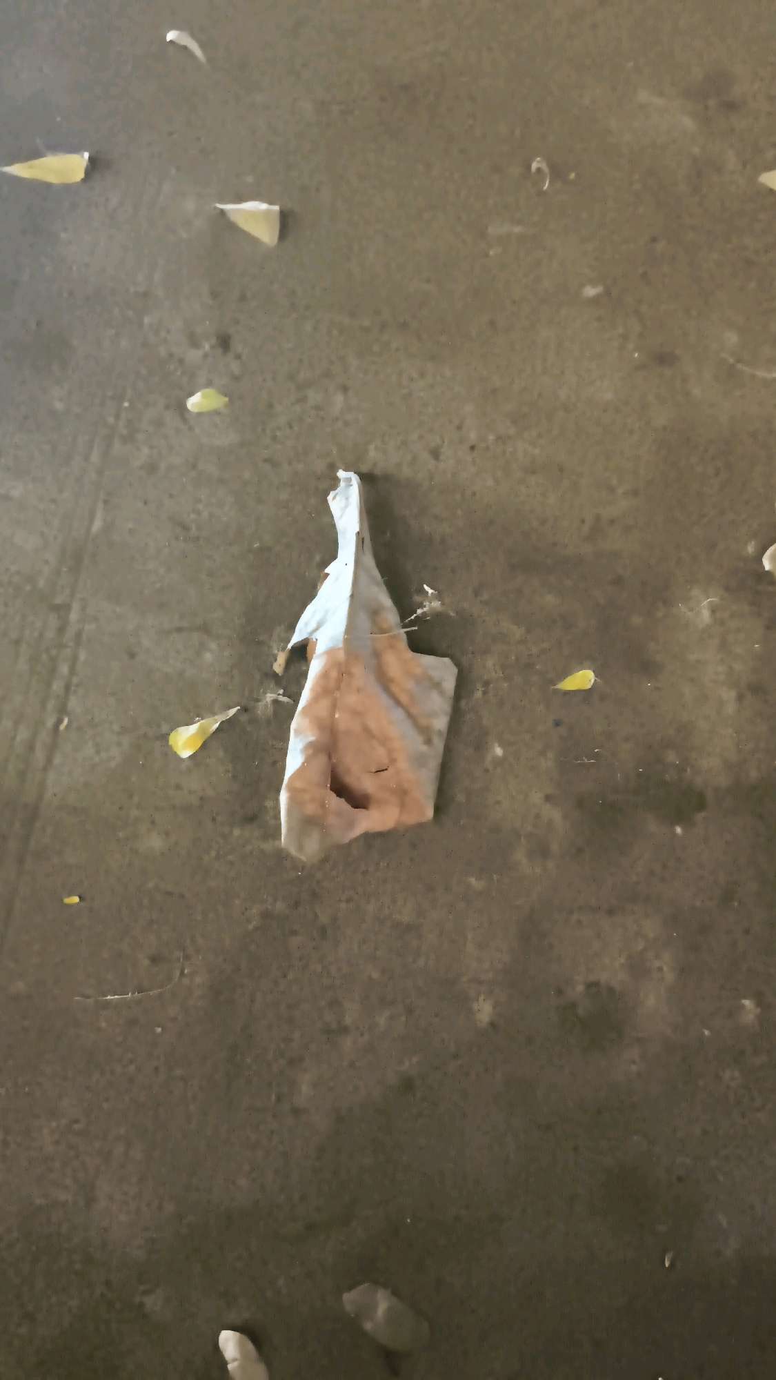 A dirty, white and pink stained cloth lies on a rough, brown, paved surface. Several small, yellow, leaf-like fragments are scattered around the cloth. A faint tire track is visible on the left side of the image. The scene is likely outdoors and appears to be an urban environment.