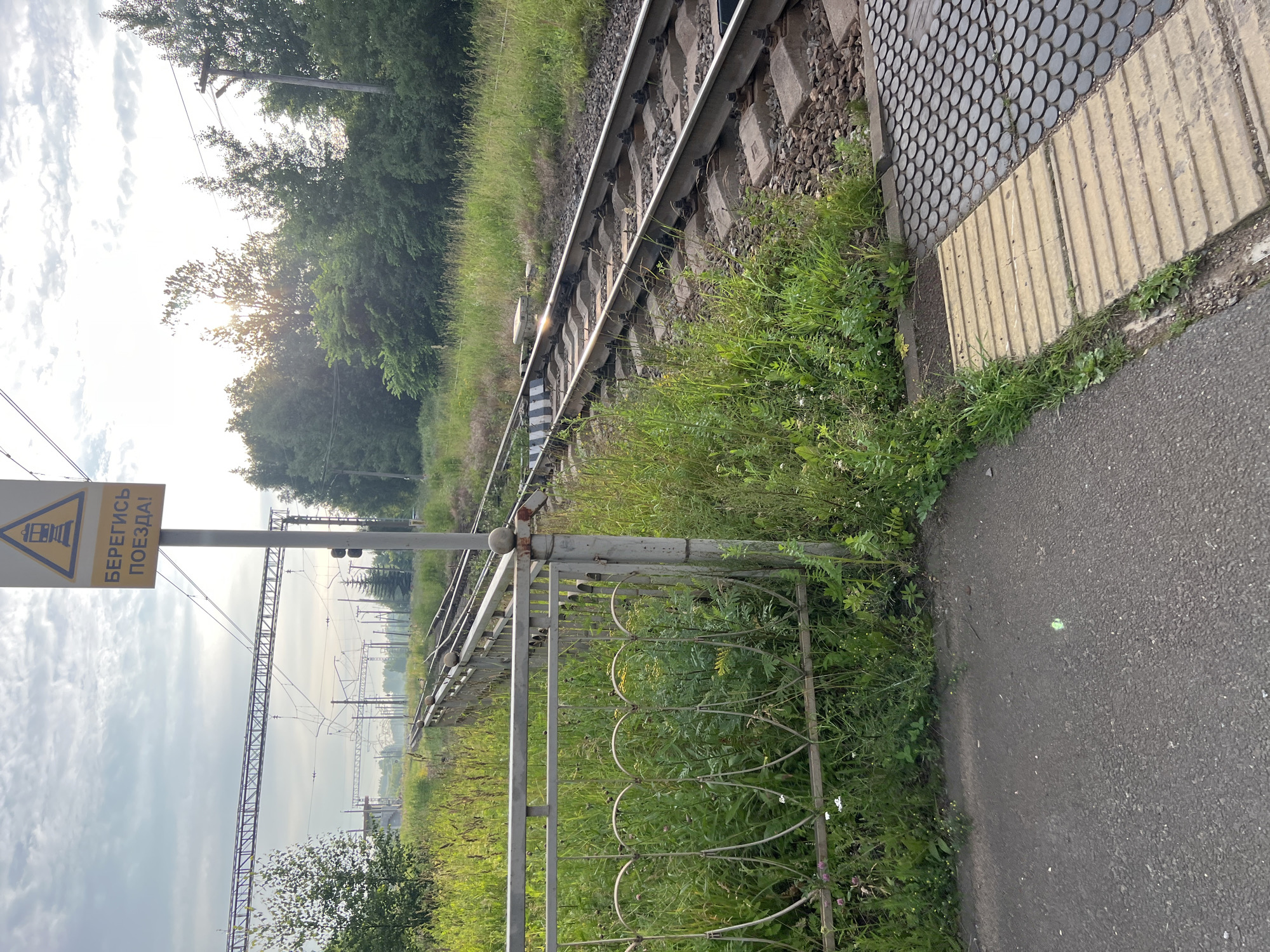 The image shows a railway track with overhead electrical lines under a cloudy sky. A yellow warning sign with the text "БЕРЕГИСЬ ПОЕЗДА!" (Beware of the train!) is prominently displayed on a pole. A metal fence borders the railway track on the left, with lush green vegetation growing around it. The foreground features an asphalt path adjacent to a tactile paving surface, indicating a pedestrian crossing or platform. The scene appears to be in a rural or semi-urban area, possibly on the outskirts of a town or city, and given the specific reference, it is located in Alexandrovskaya, Russia. No people or animals are visible in the image.