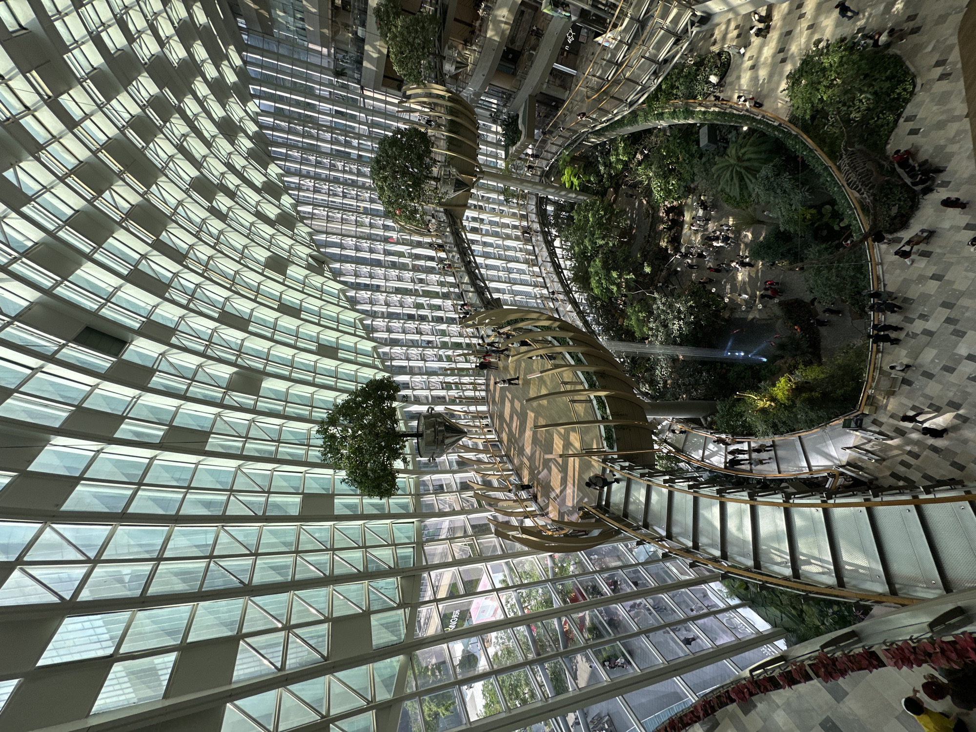 The image depicts an interior view of Raffles City Chongqing, located in the city of Liangjiang, China. The architecture features a massive glass-paneled ceiling spanning a curved structure. Three large, tiered, cylindrical structures, each containing trees, rise from the floor toward the ceiling. Elevated walkways lined with black railings and populated with people traverse the interior space, leading to a central green area with lush vegetation and a water feature. Numerous people are observed throughout the interior space, both on the walkways and within the central green area. Reflections of the surrounding buildings are visible through the glass ceiling.