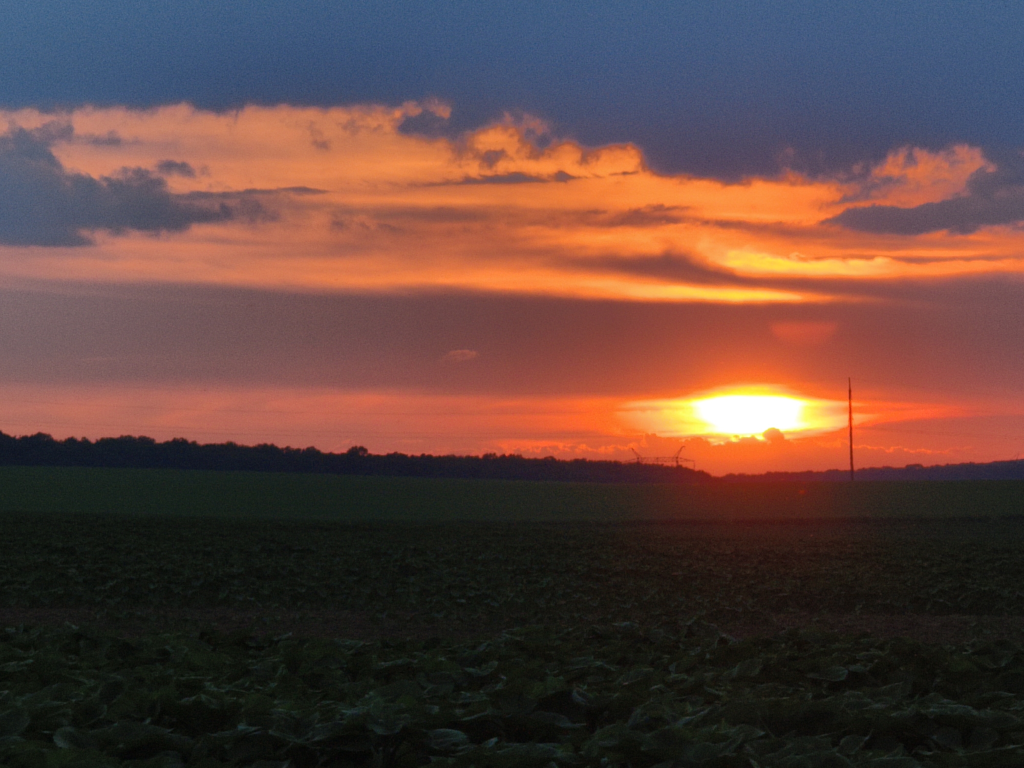 A wide shot captures a rural landscape at sunset. The sky is ablaze with vibrant oranges and reds, transitioning to a deep blue at the top. Scattered clouds are illuminated by the setting sun, creating a dramatic effect. In the foreground, a dark field of crops stretches across the lower portion of the image. A dark, silhouetted tree line forms the horizon, with faint outlines of structures, possibly power lines or agricultural equipment, visible against the bright sky. A single, slender pole stands vertically in the middle right of the frame. The overall scene is one of natural beauty and tranquility, with the setting sun casting a warm glow over the land.