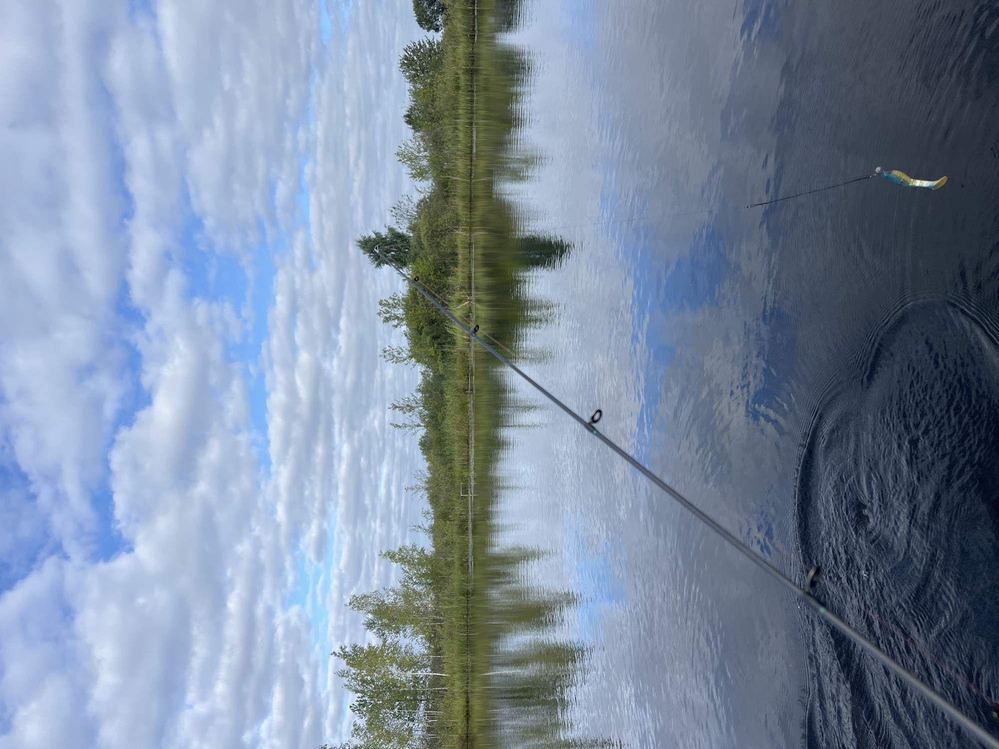 The image depicts a serene natural scene on a body of water, possibly a lake or river, under a partly cloudy sky. The foreground shows a fishing rod, with its tip extending into the frame from the right side, and a fishing lure with yellow, blue, and white coloring suspended on a line above the water. The water's surface is calm, reflecting the sky and the trees lining the opposite bank. The bank itself is covered with a dense growth of various trees and reeds, creating a natural and undisturbed landscape. The overall impression is one of a tranquil outdoor environment, likely in a rural area.
