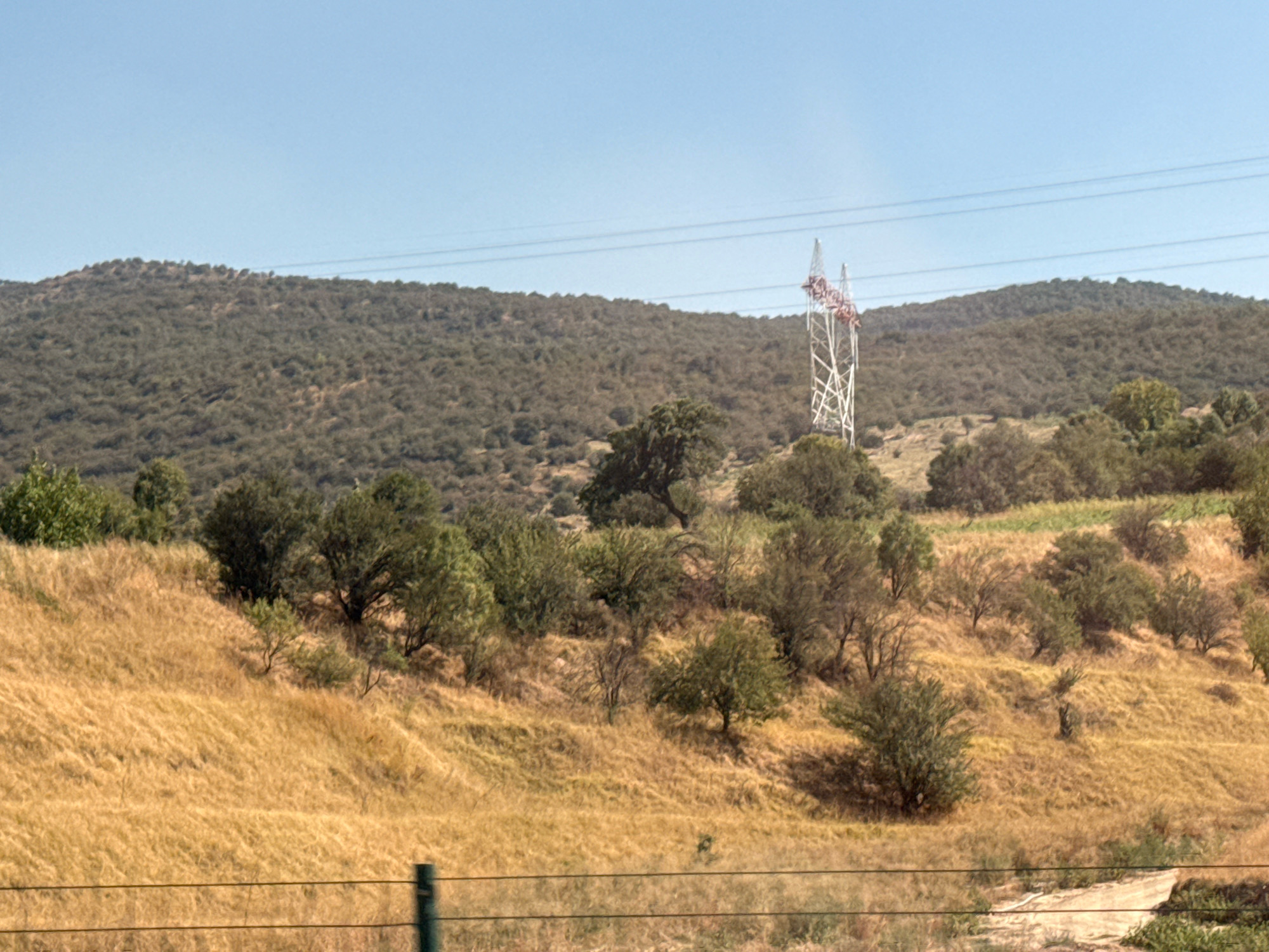 The image depicts a landscape in Gazalkent, Uzbekistan, characterized by rolling hills covered in dry, golden grass and scattered trees. In the mid-ground, a prominent white lattice power pylon stands tall against a clear blue sky, supporting multiple power lines that stretch across the frame. The terrain is uneven, with slopes and gullies visible, suggesting a natural, undeveloped area. The overall impression is one of a rural or semi-rural setting under a bright, sunny day.