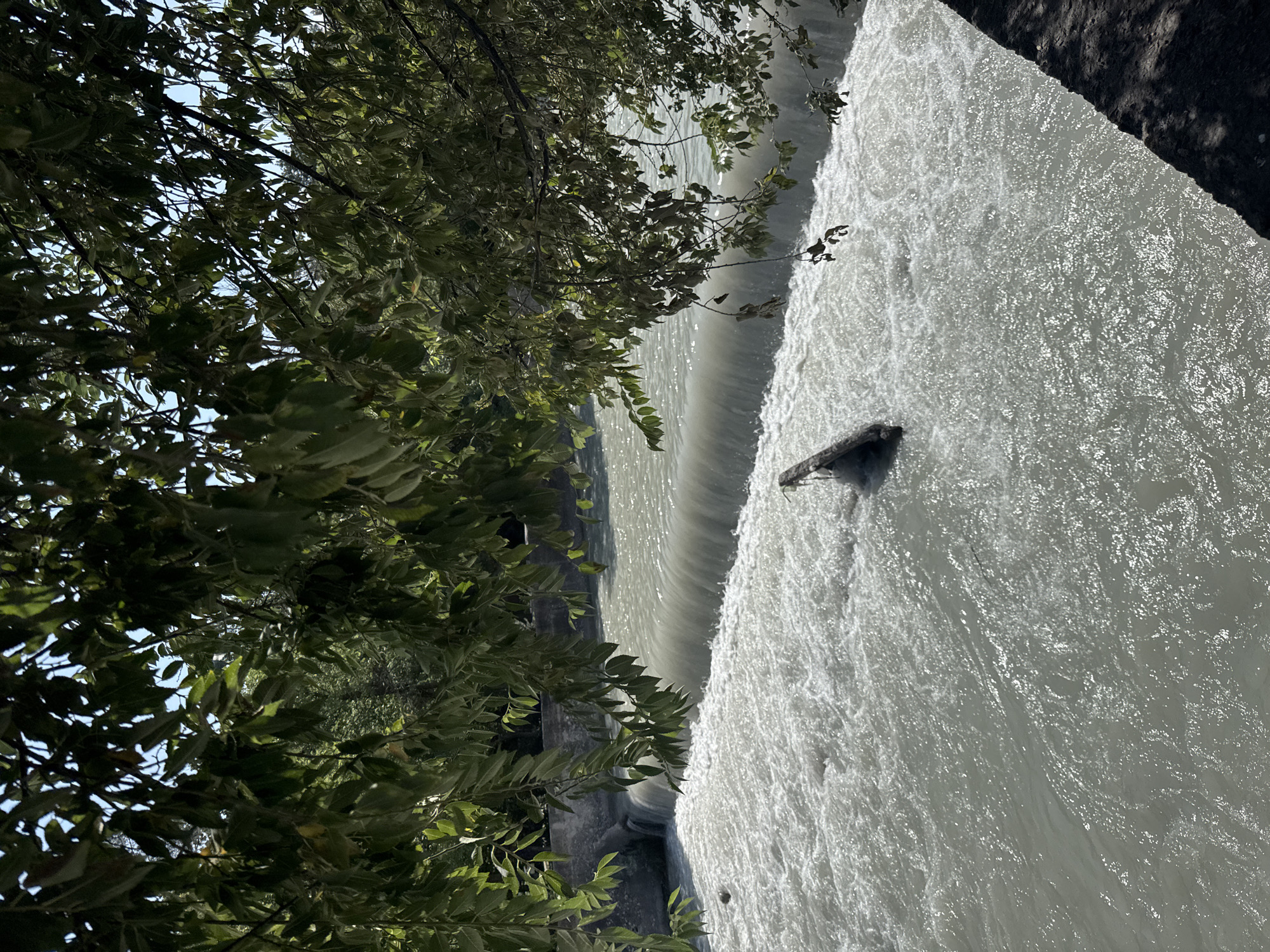 A natural waterfall cascades over a concrete dam into a rushing river. The water is a murky gray, reflecting the bright sunlight, and churns with white foam. A fallen log is partially submerged in the turbulent water, near the base of the waterfall. The riverbanks are lined with dark, rough concrete, casting shadows onto the water. Lush green trees with dense foliage hang over the scene, their leaves obscuring parts of the sky. The image appears to be taken from above, looking down at the waterfall and river. The scene is set in a natural environment, possibly a park or a natural reserve within Bishkek City, Kyrgyzstan, given the lush vegetation and man-made dam. No people are visible in the image.