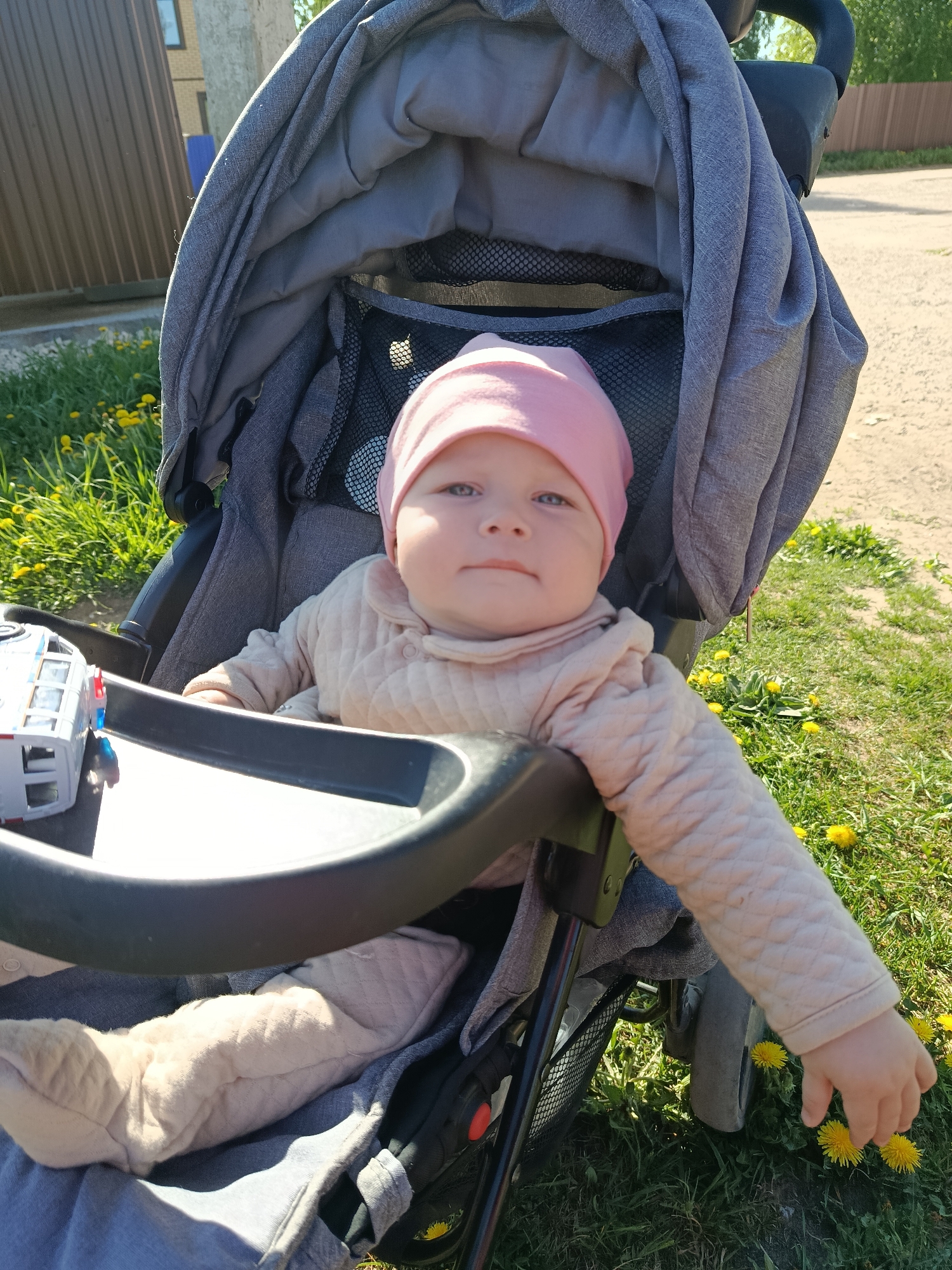A baby wearing a pink hat and light beige quilted clothing is seated in a gray stroller outdoors. The stroller has a black tray and hood, and a toy is on the tray. The baby's right hand is near yellow dandelions in the grass. The background includes grass with dandelions, a fence, and a building. The location is Фоки, Russia.