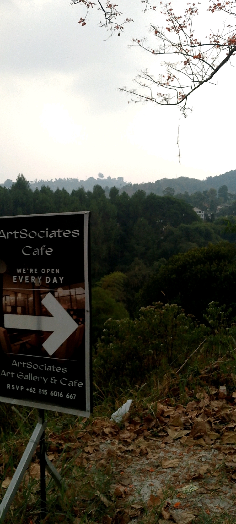 The image depicts a sign for "ArtSociates Cafe" located in the city of Mekarwangi, Indonesia. The sign is black with white lettering and features an arrow pointing to the right, indicating a direction. Below the cafe name, it states "WE'RE OPEN EVERY DAY" and provides a phone number for RSVP: "+62 815 6016 667". The background of the image shows a dense, green forest covering rolling hills under a hazy, overcast sky. Some tree branches with sparse red leaves are visible in the upper portion of the frame. The foreground consists of dry leaves, gravel, and grass, with a crumpled white plastic bag. The overall scene suggests an outdoor setting, likely a viewpoint or entrance to the cafe, overlooking a natural landscape.