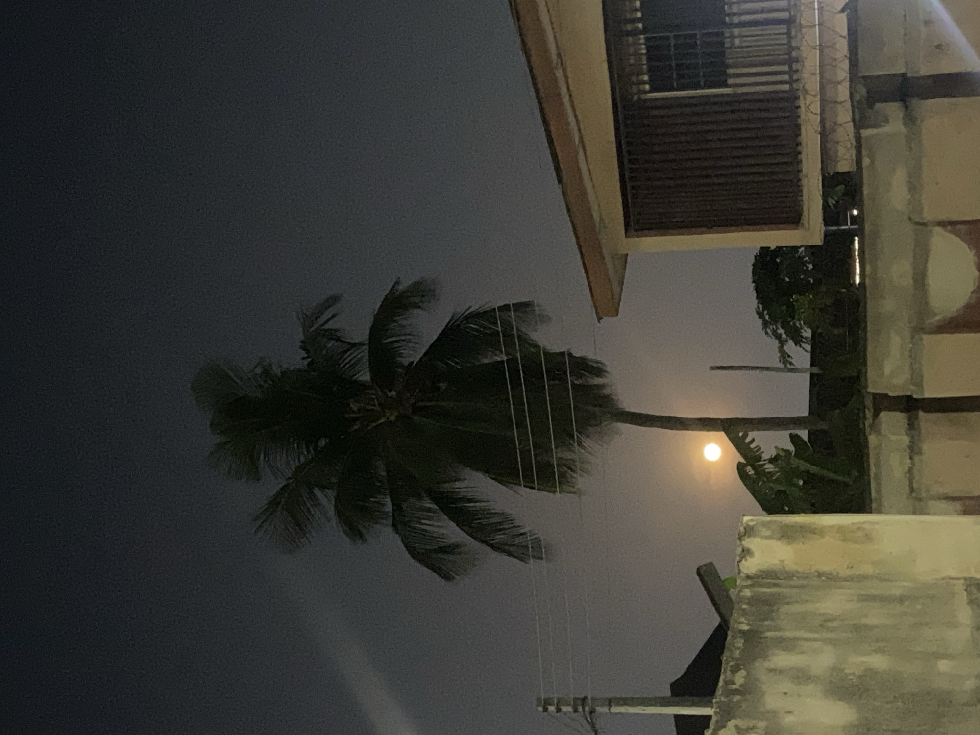 The image, taken in Lagos, Nigeria, depicts a night scene. A palm tree is the central subject, silhouetted against a dark sky. A bright, full moon is visible in the background, positioned behind the palm tree. The foreground shows parts of buildings, suggesting an urban environment. Power lines are visible, crossing the scene. No people are visible in the image.