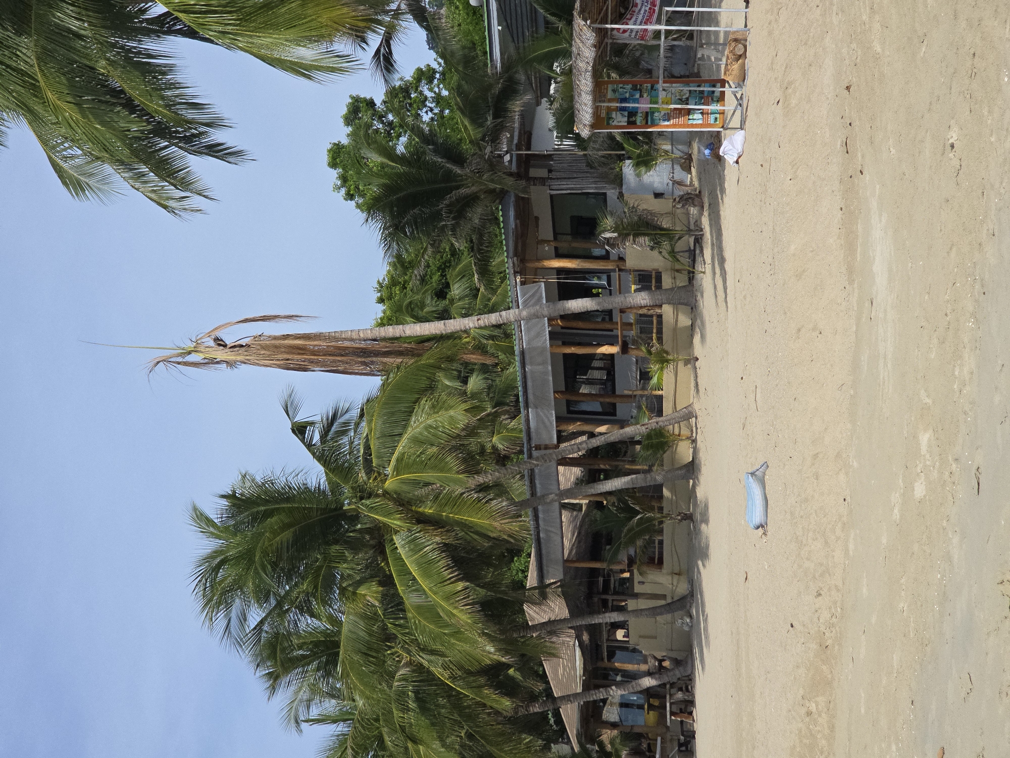 In the city of Unknown, Unknown, a beach scene unfolds under a clear blue sky. The foreground is dominated by a sandy beach, with scattered debris including a blue and white striped bag lying on the sand. To the right, a small, thatched-roof kiosk displays various colorful posters. Behind the kiosk, there is a white structure with a metal frame.
Further back, a beachside establishment with a brown thatched roof and an open-air design is partially obscured by numerous palm trees. The building has large windows and wooden support beams. To the left of the building, a wooden picnic table is visible. In the background, lush green foliage and trees form a dense backdrop. A tall, dried-out palm tree stands prominently in front of the building, contrasting with the vibrant green of the surrounding palm trees. Several smaller palm saplings are also scattered around the establishment. The overall impression is of a relaxed, tropical beachside location.