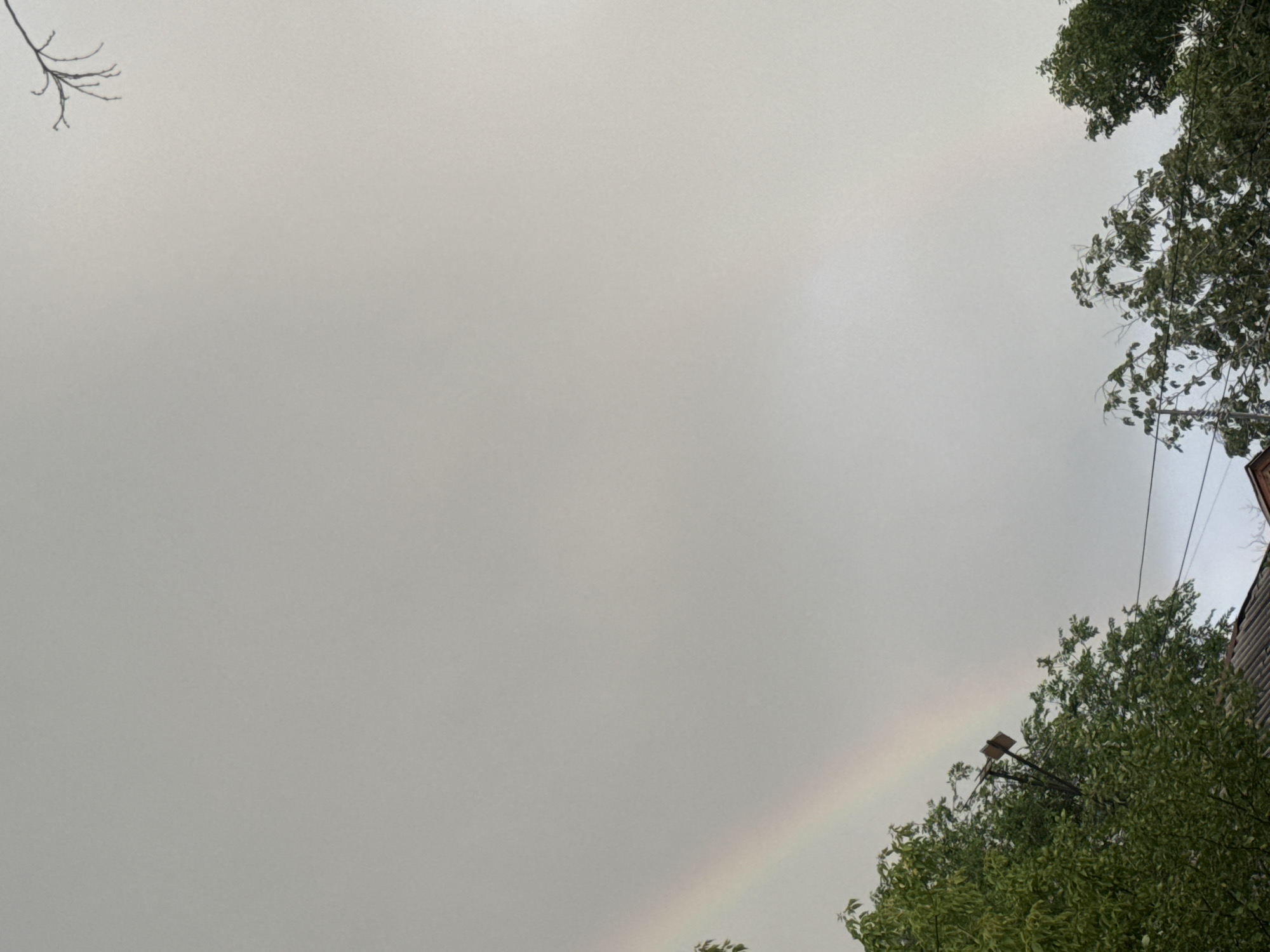 The image captures a sky scene with a subtle rainbow visible on the right side. The sky is overcast and a pale gray, suggesting a cloudy or possibly post-rainy day. In the upper left corner, a bare, dark tree branch extends into the frame, contrasting with the soft sky. On the right side, lush green foliage from trees frames the scene. Amidst the greenery and silhouetted against the sky, there's a streetlamp with a visible pole and a fixture at the top. Power lines are also visible, running across the upper right portion of the image. A sliver of a building with horizontal siding can be seen at the far right edge. The overall mood is calm and subdued, likely captured during daylight hours, given the sky's illumination. No text is visible in the image.
