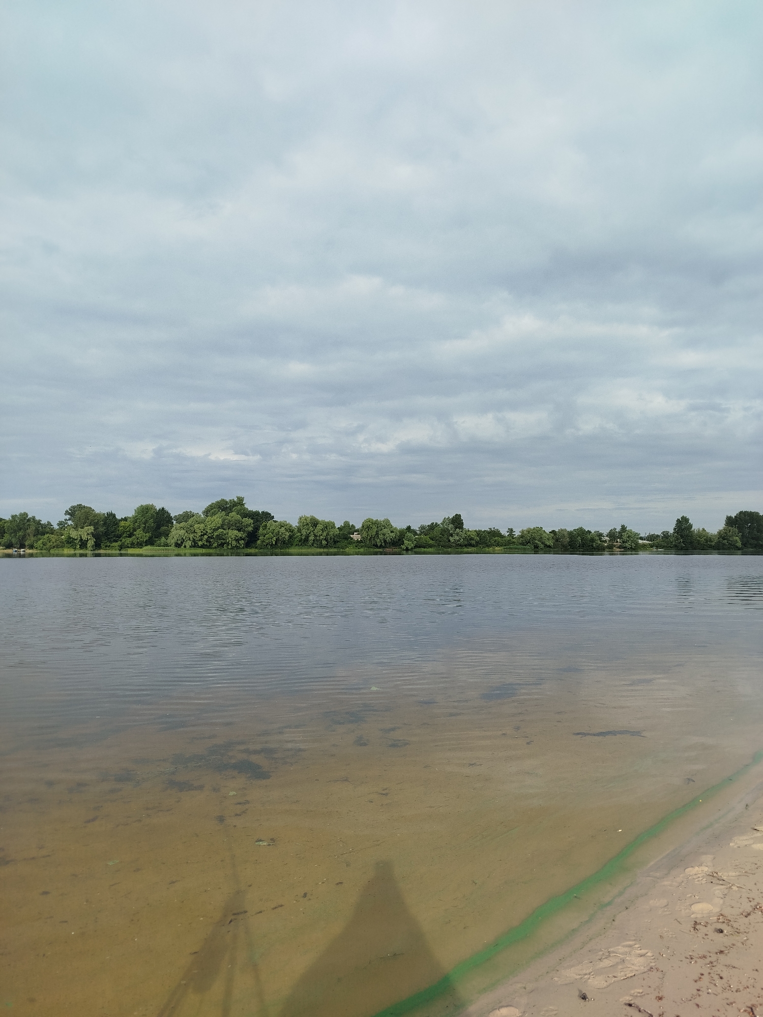 A wide shot shows a tranquil lake on an overcast day. The water is calm, with subtle ripples on its surface. The lakebed is visible near the shore, appearing sandy and shallow. A distinct streak of bright green material is present along the waterline on the sandy shore. The far bank of the lake is lined with a dense forest of green trees, stretching across the horizon. The sky above is filled with soft, grey clouds, obscuring any direct sunlight. A shadowy silhouette, likely from a person holding a camera, is cast on the sandy shore and into the water.